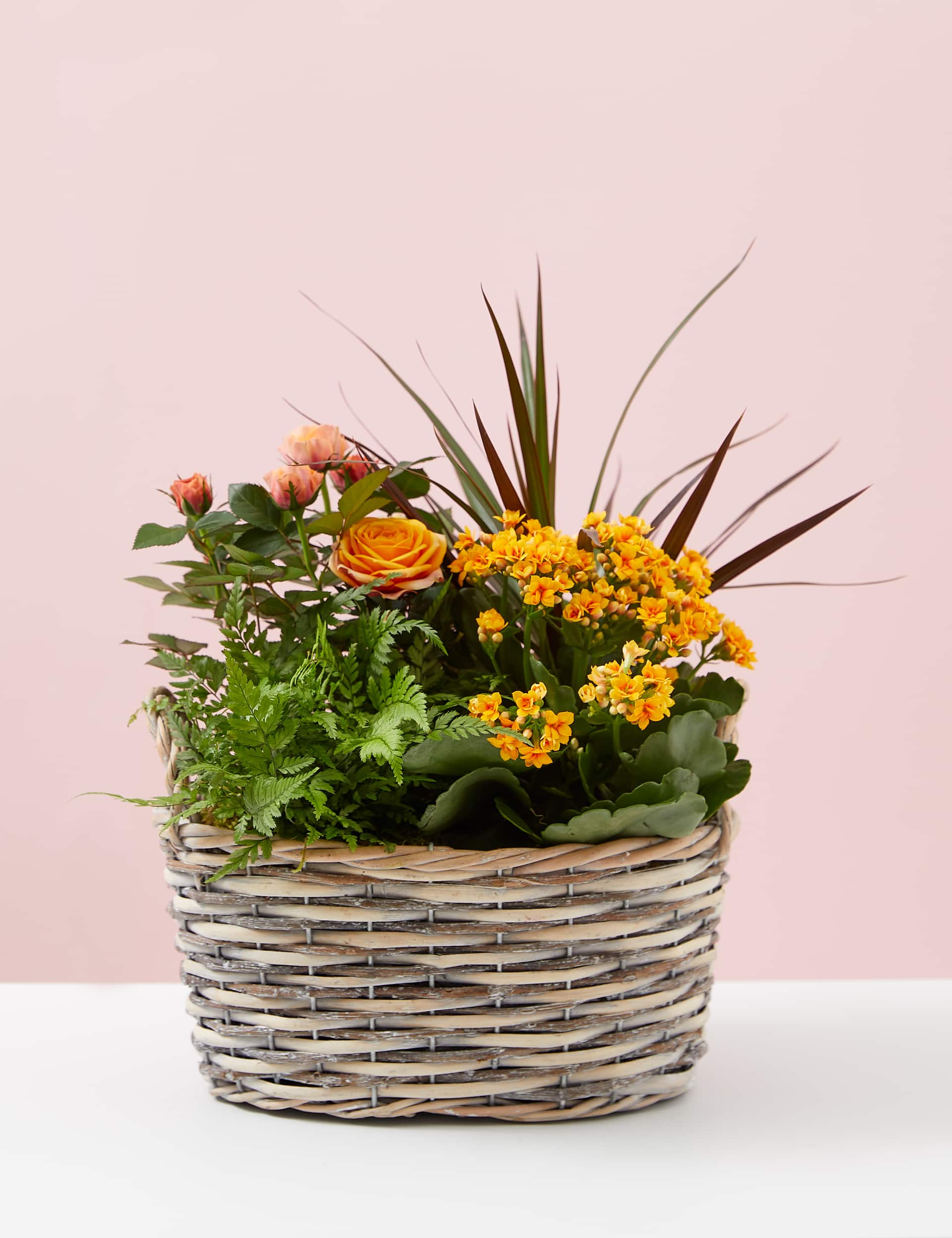 M&S Autumn Flowering Basket image