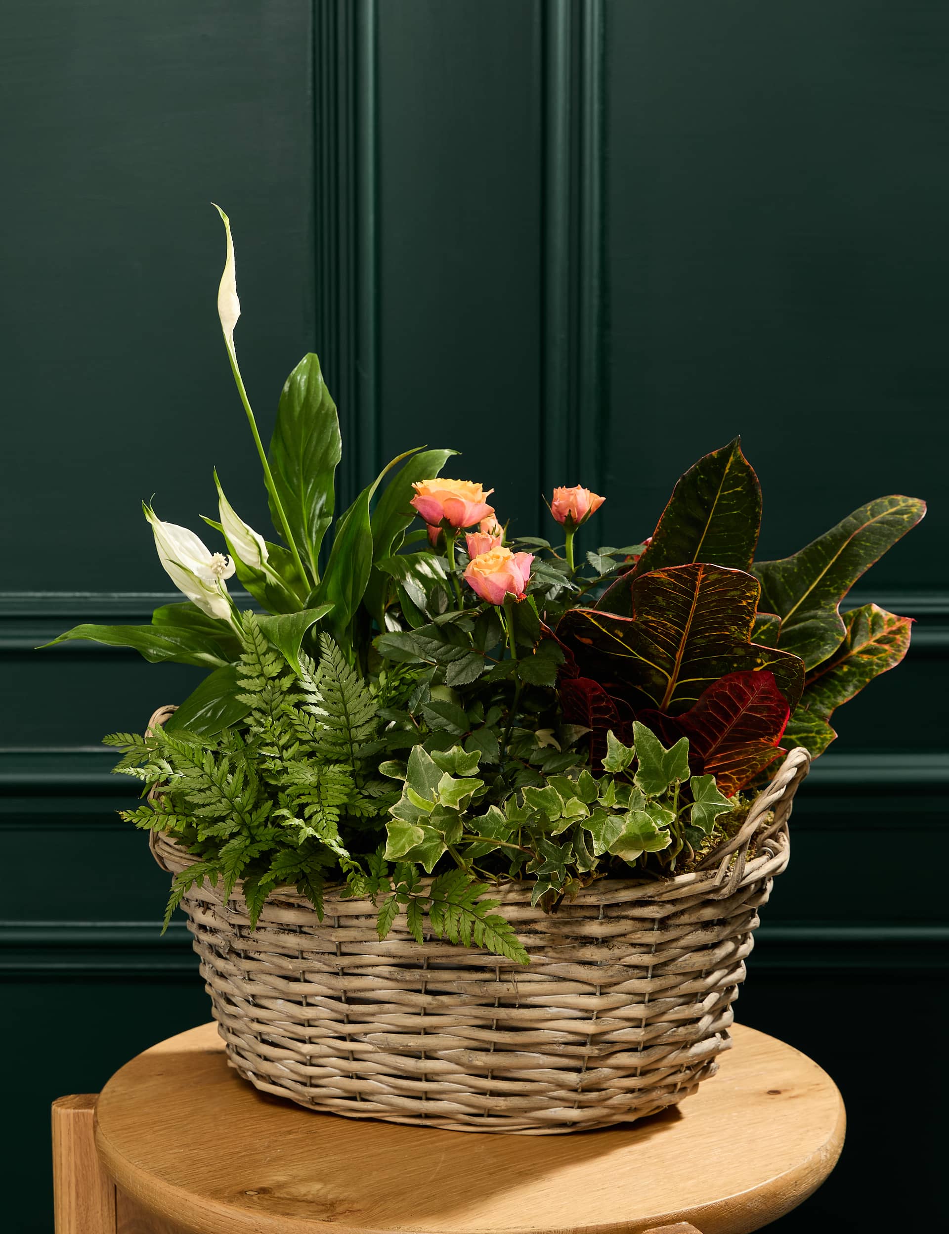 M&S Autumn Luxury Flowering Basket