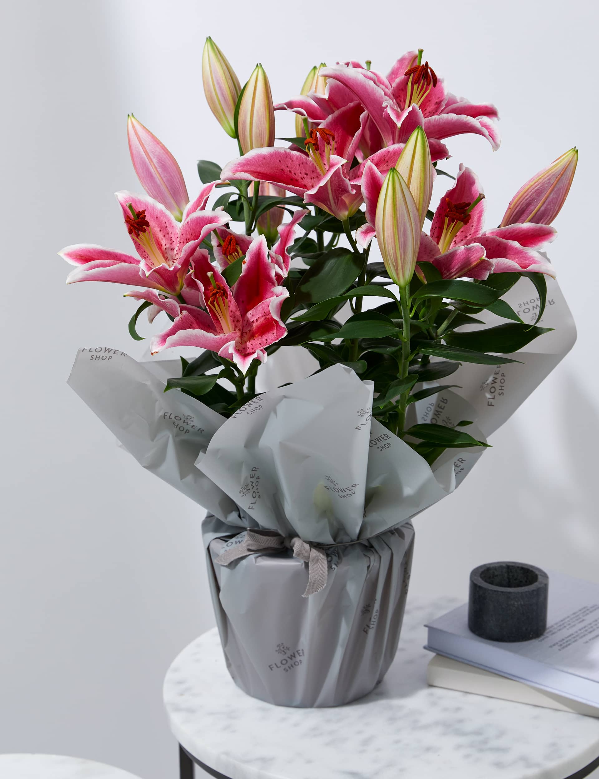 M&S Oriental Lily