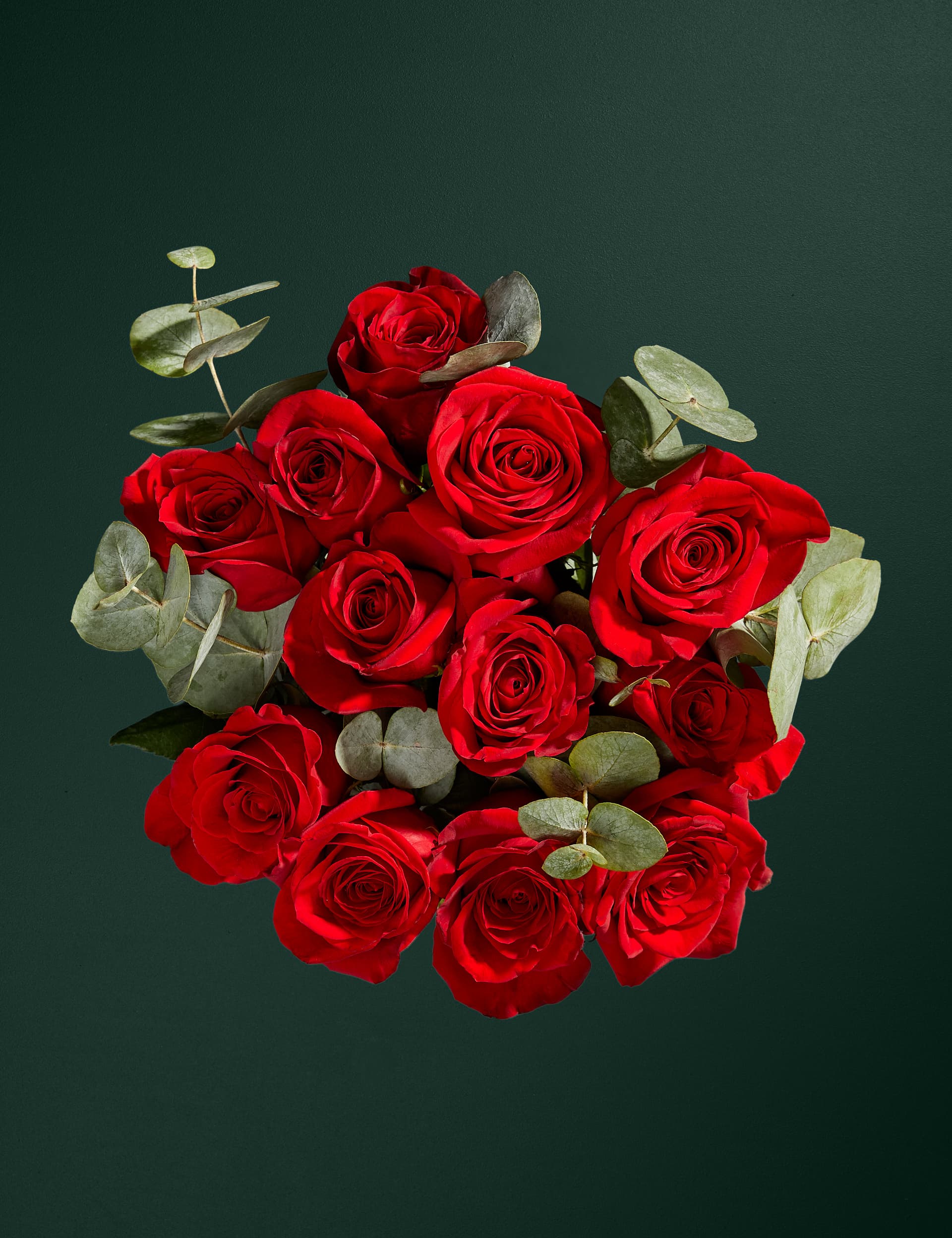 M&S Dozen Valentine's Freedom Red Roses