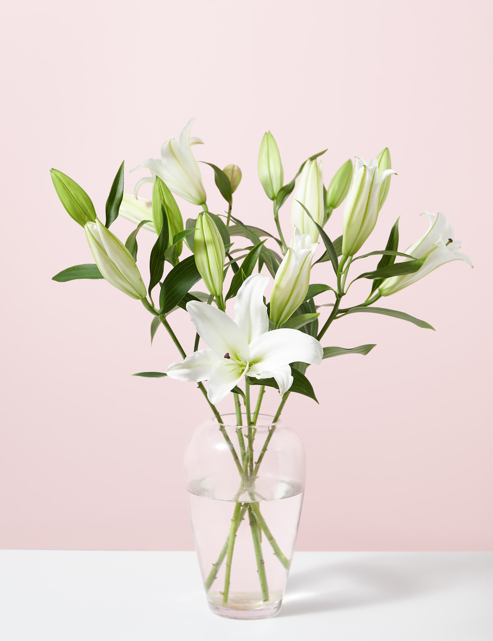 M&S White Oriental Lily Abundance