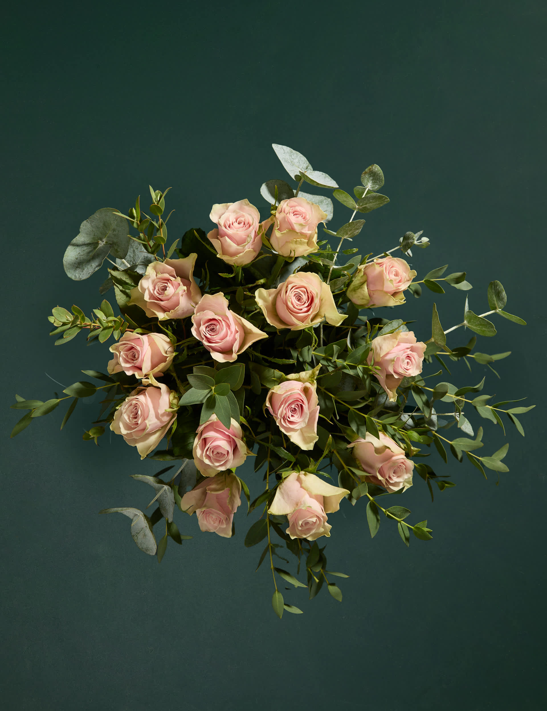 M&S Blush Rose Bouquet