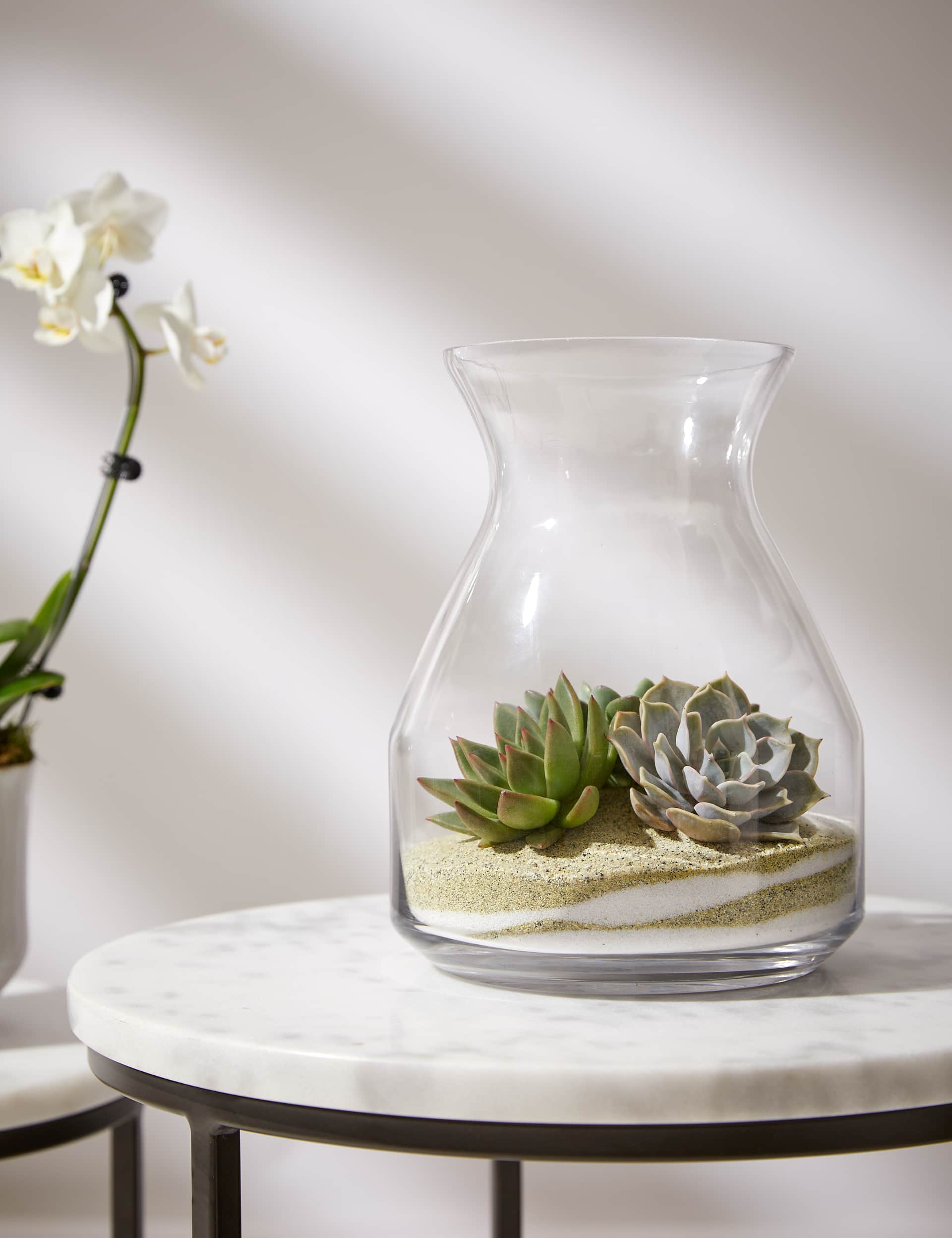 M&S Succulent Bottle Garden Kit