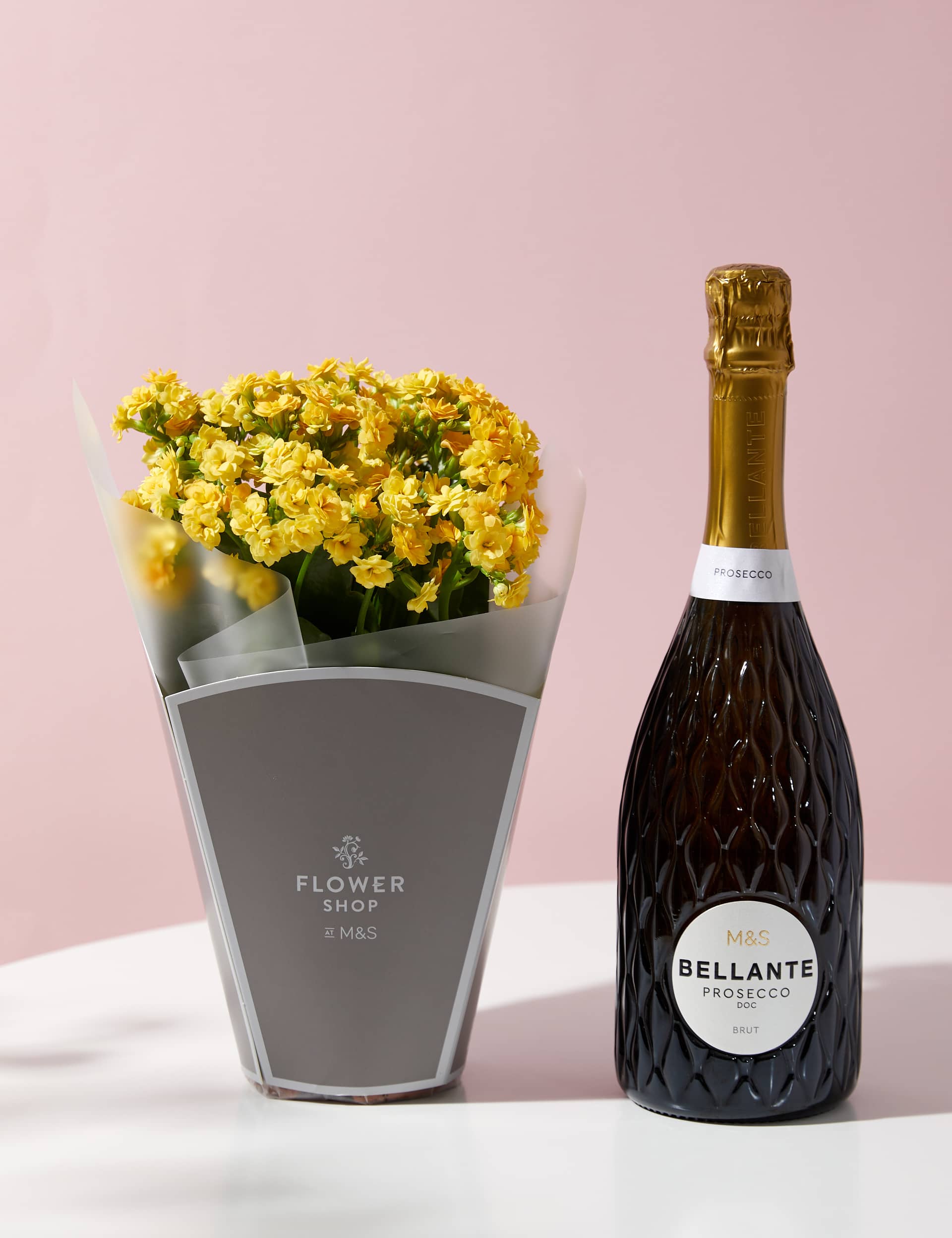 M&S Kalanchoe Gift Bag with Bellante Prosecco