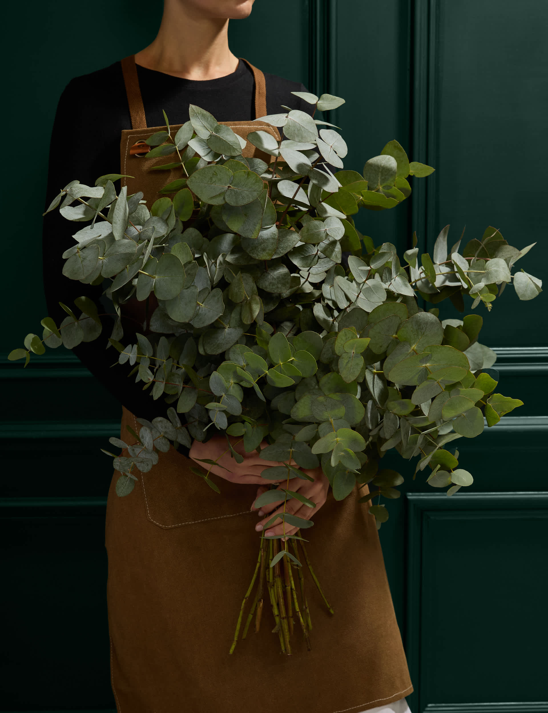 M&S Eucalyptus Abundance (Delivery from 27 Nov)