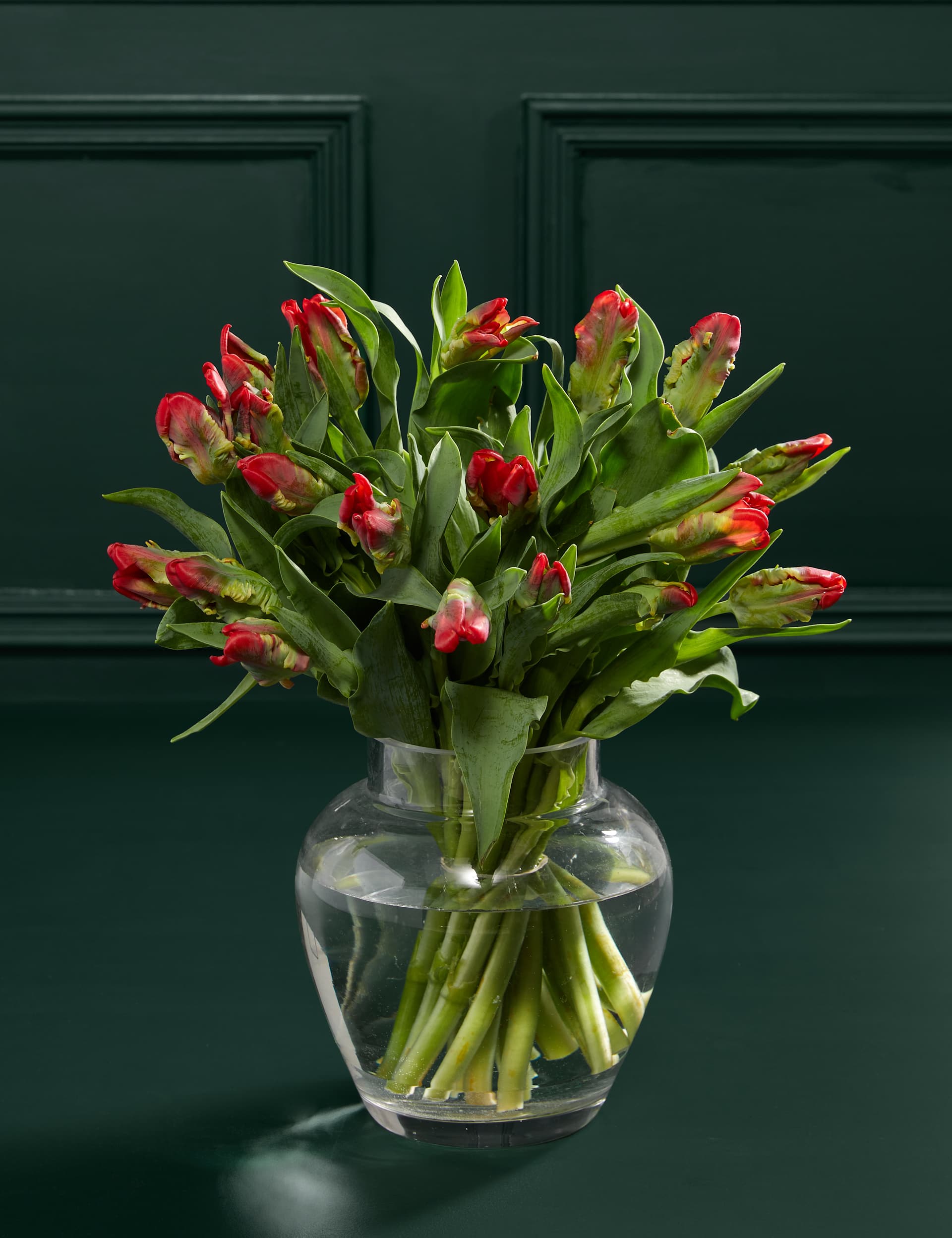 M&S Red Parrot Tulip Abundance Bouquet