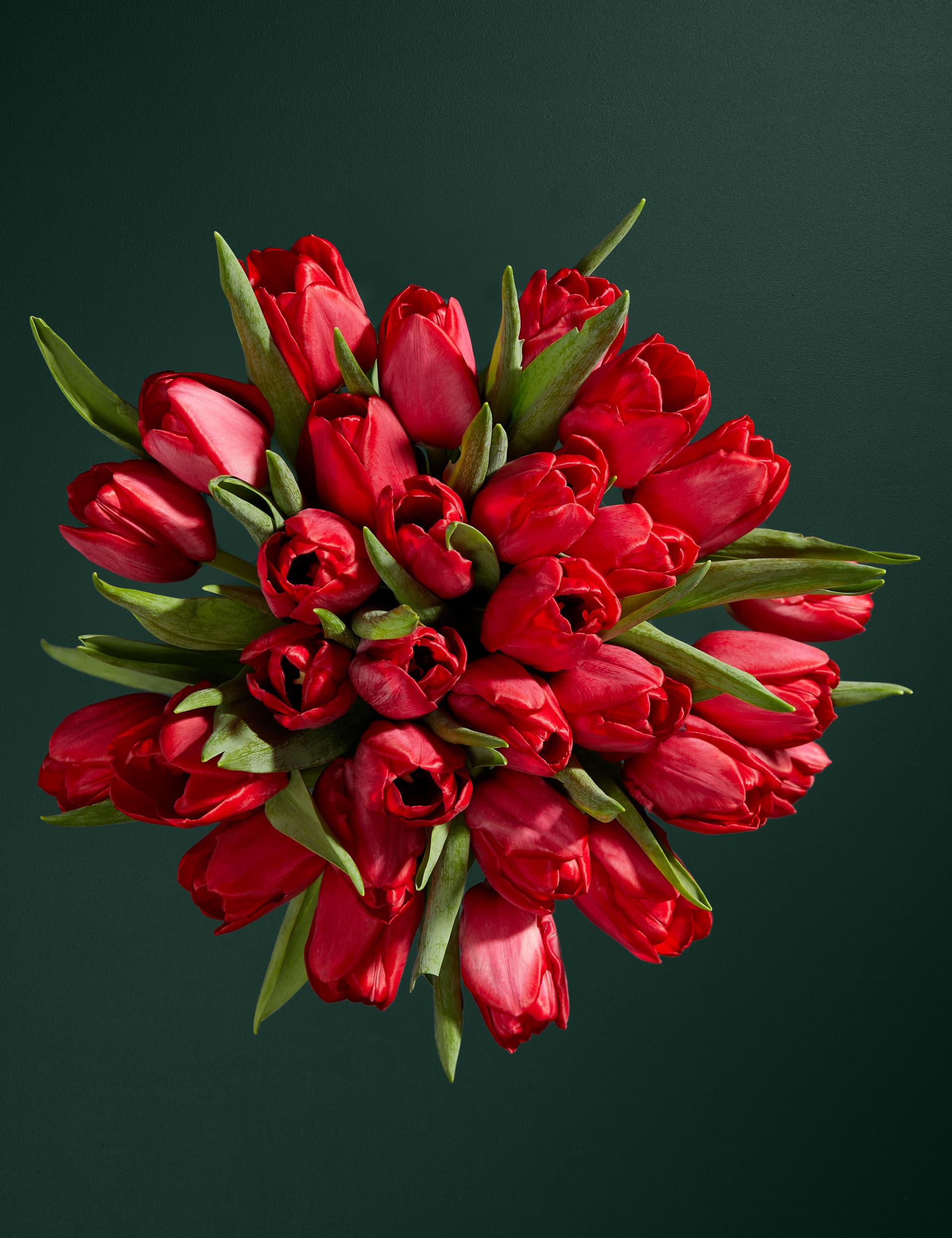 M&S British Red Tulip Abundance Bouquet