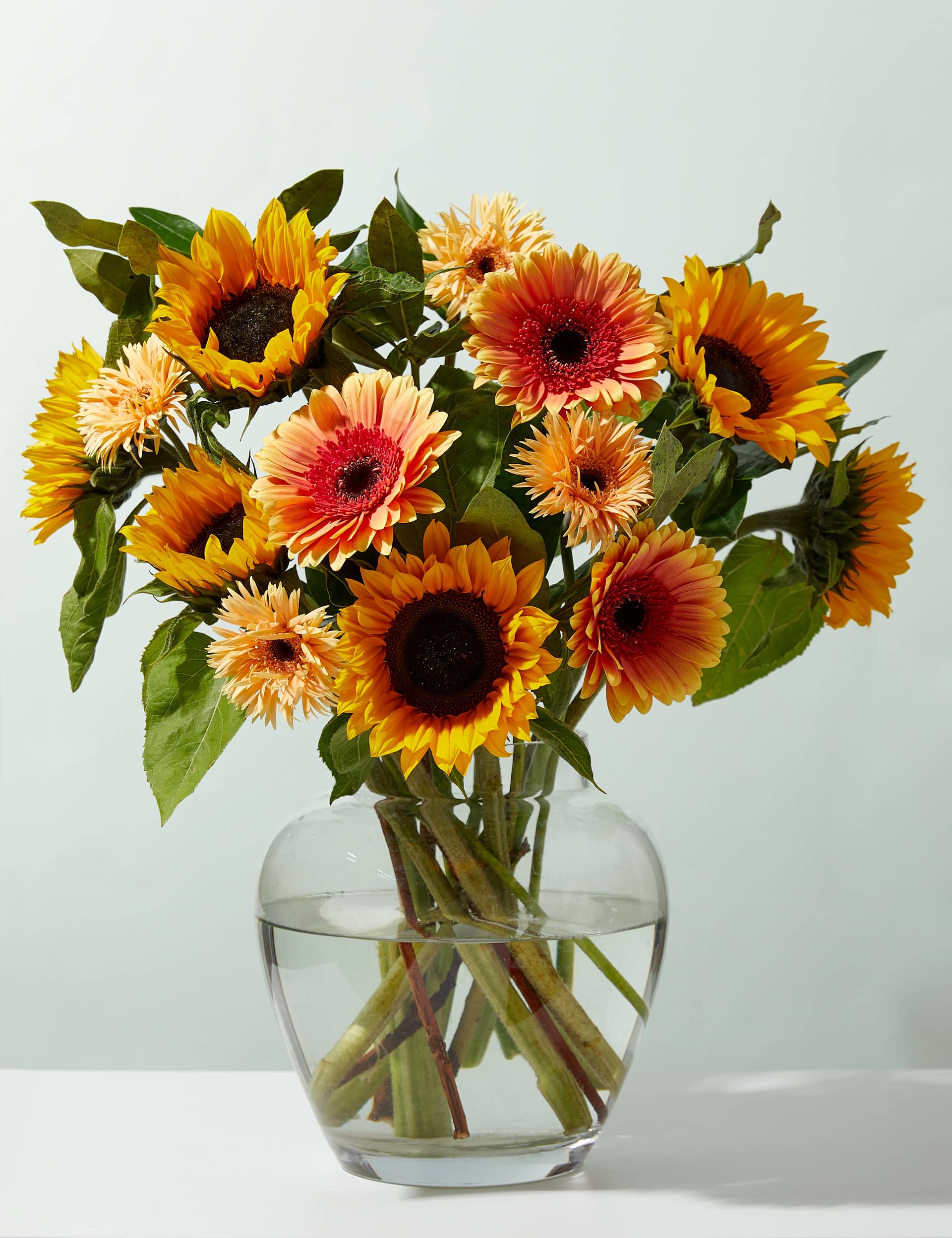 M&S Sunflower, Germini & Gerbera Bouquet