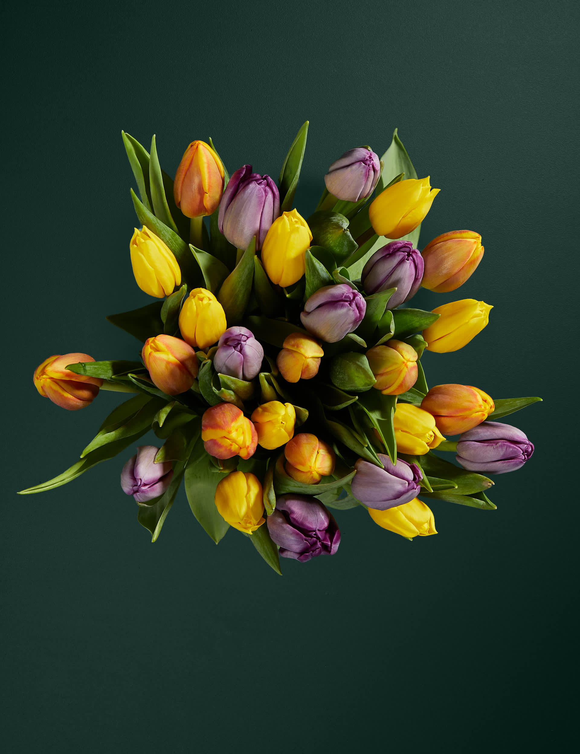 M&S Bright & Beautiful Tulip with Bellante Prosecco