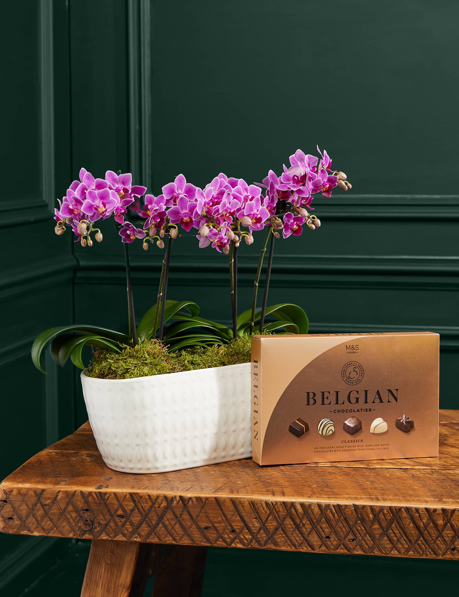 M&S Duo Purple Phalaenopsis Planter & Belgian Chocolates Bundle image