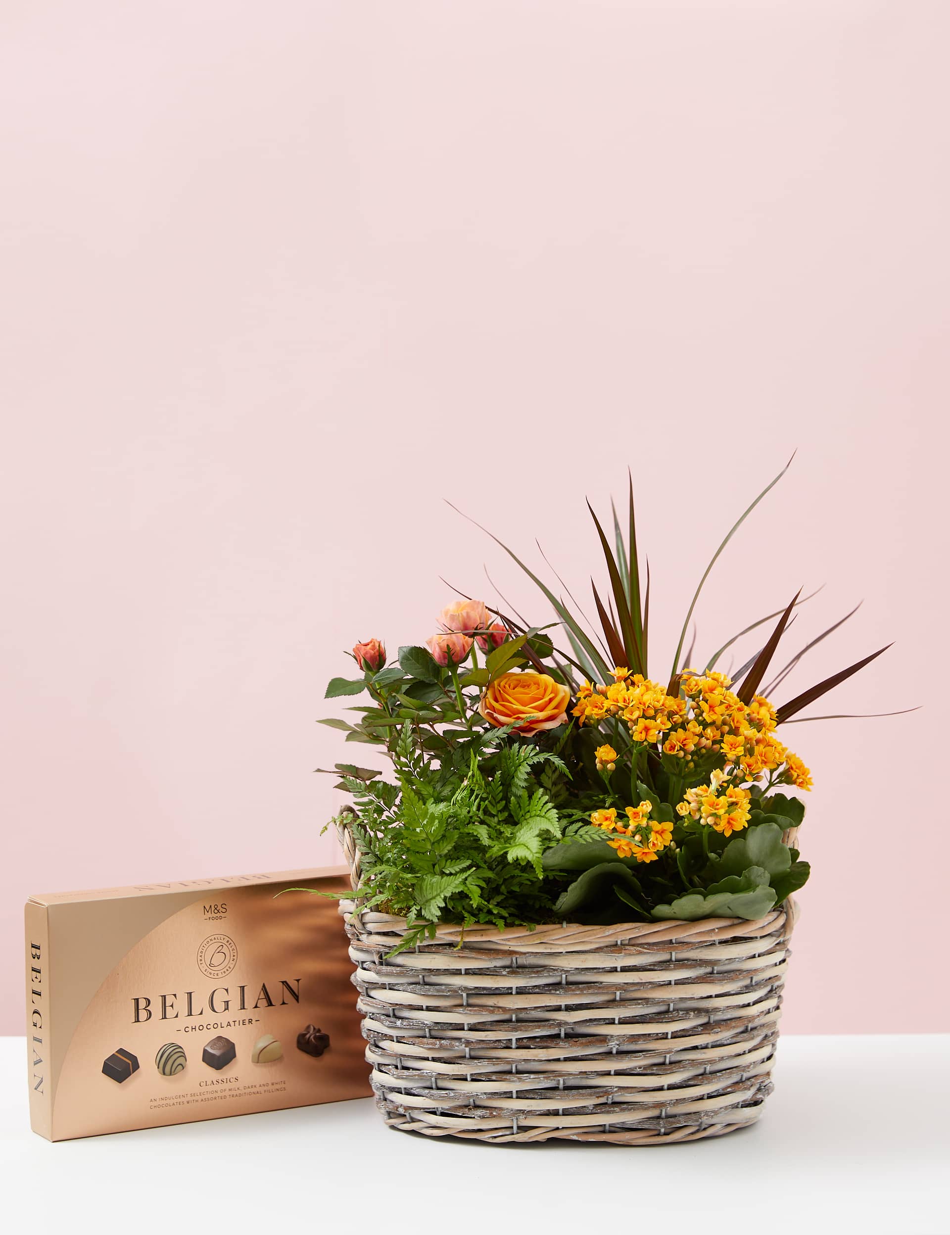 M&S Autumn Flowering Basket & Belgian Chocolates