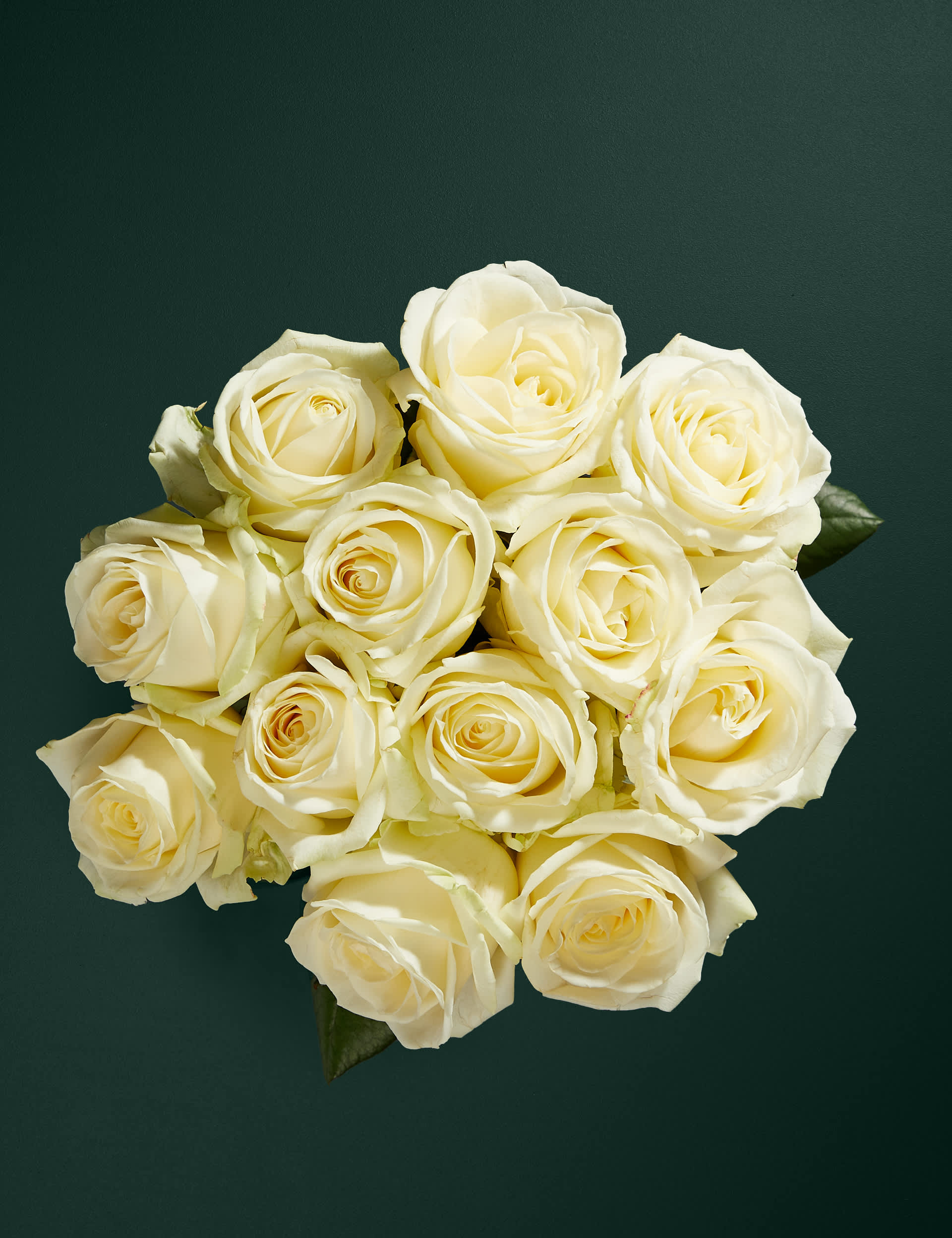 M&S White Avalanche Rose Abundance Bouquet