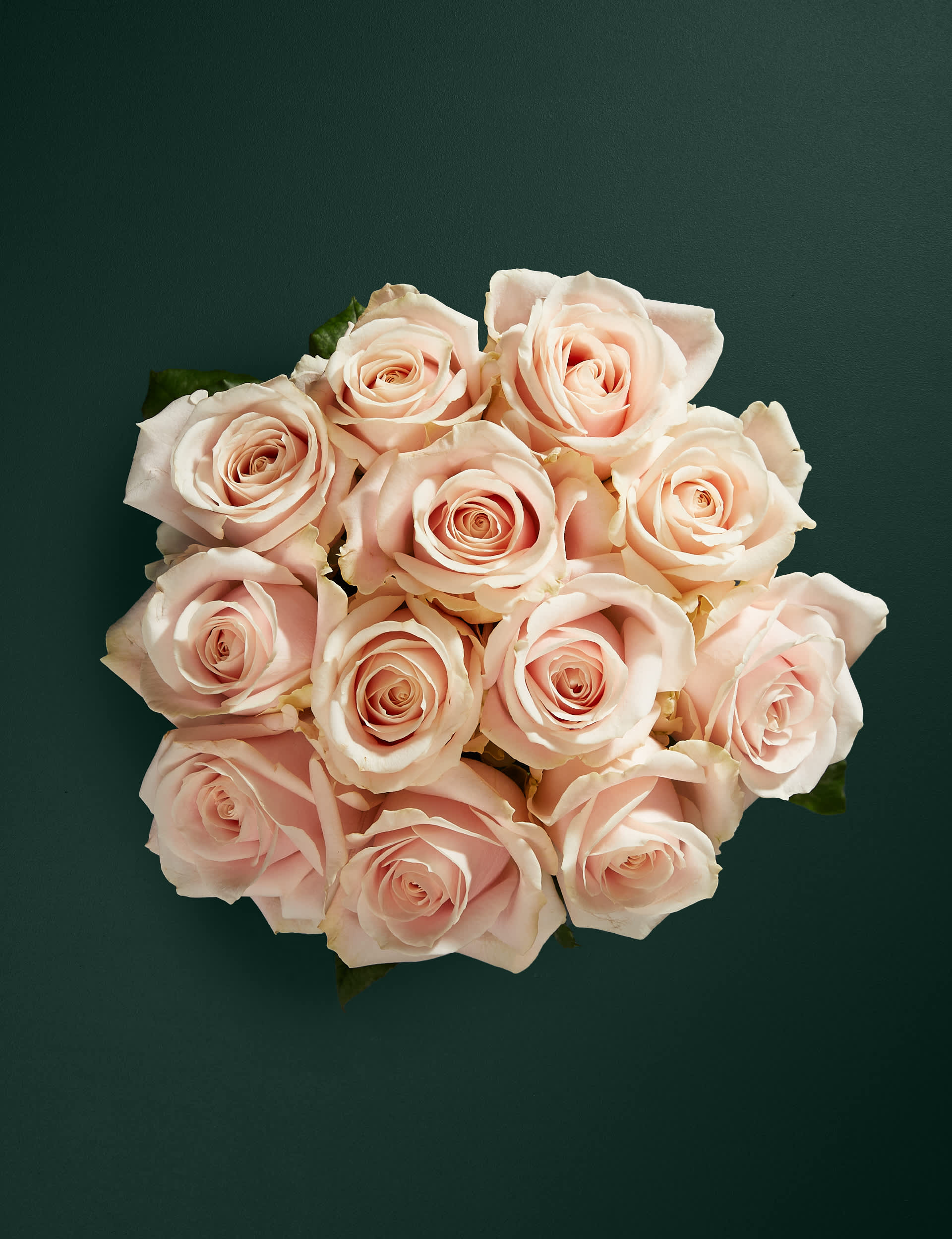 M&S Pink Sweet Avalanche Rose Abundance Bouquet