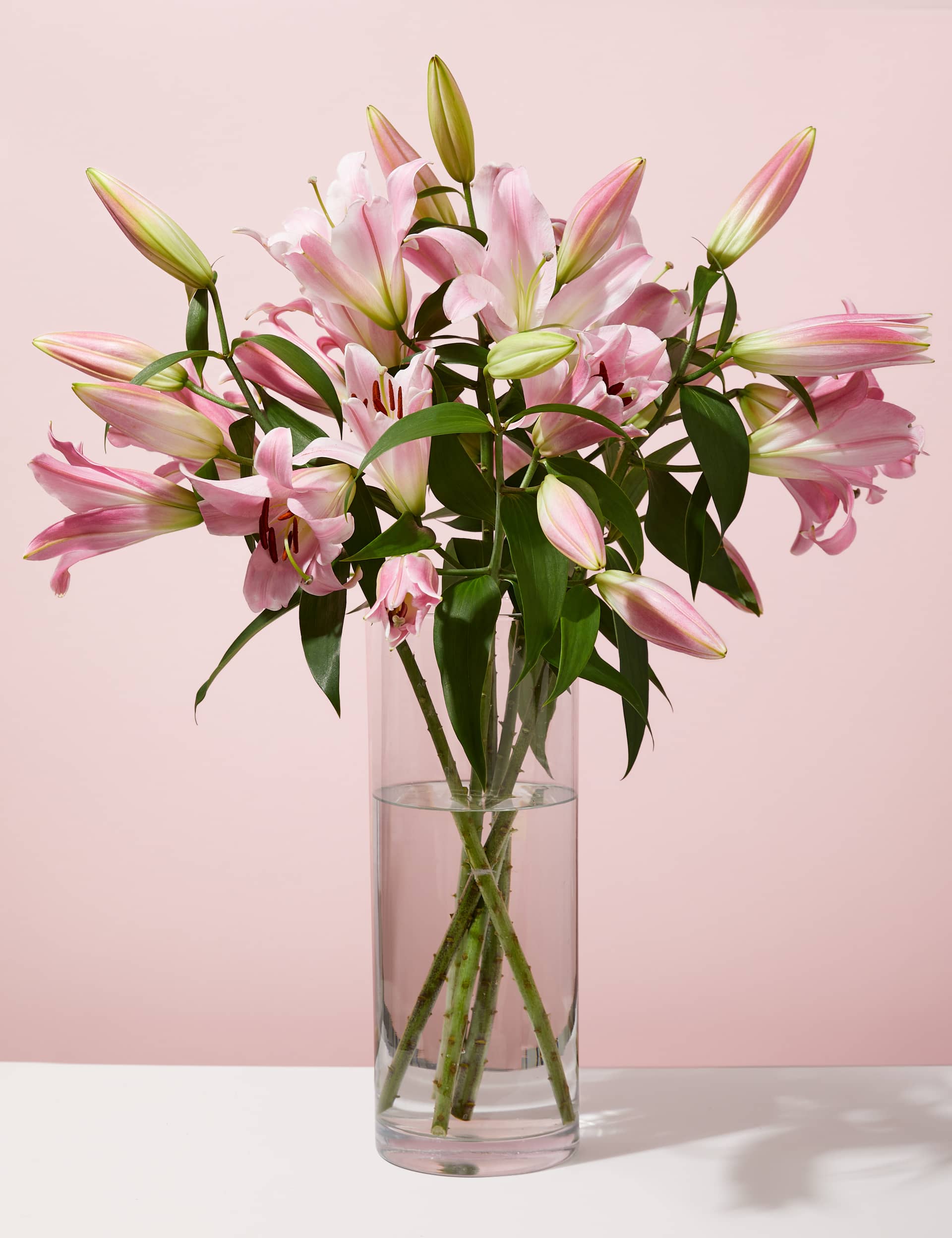 M&S Pink Oriental Lily Abundance