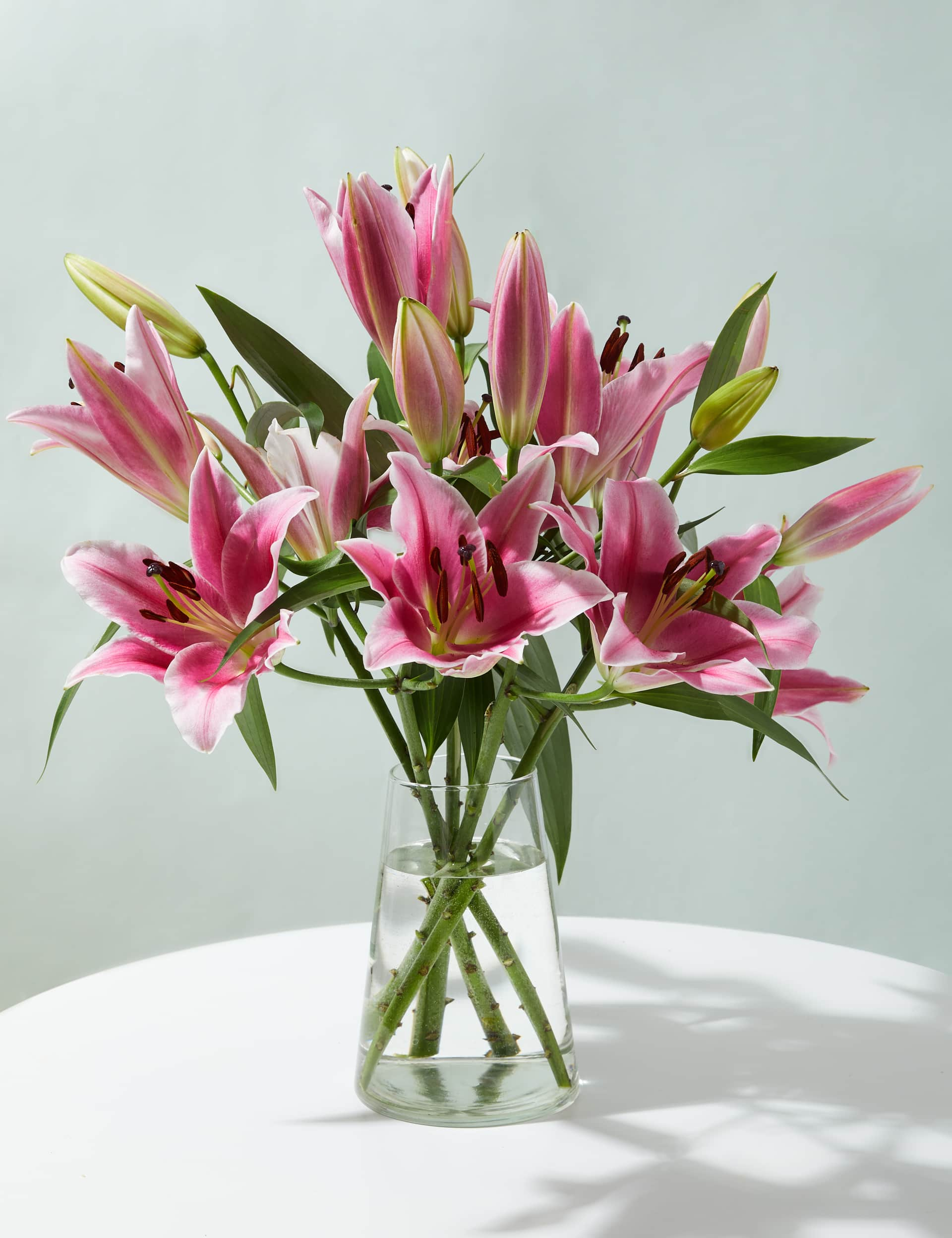 M&S British Pink Lily Abundance Bouquet