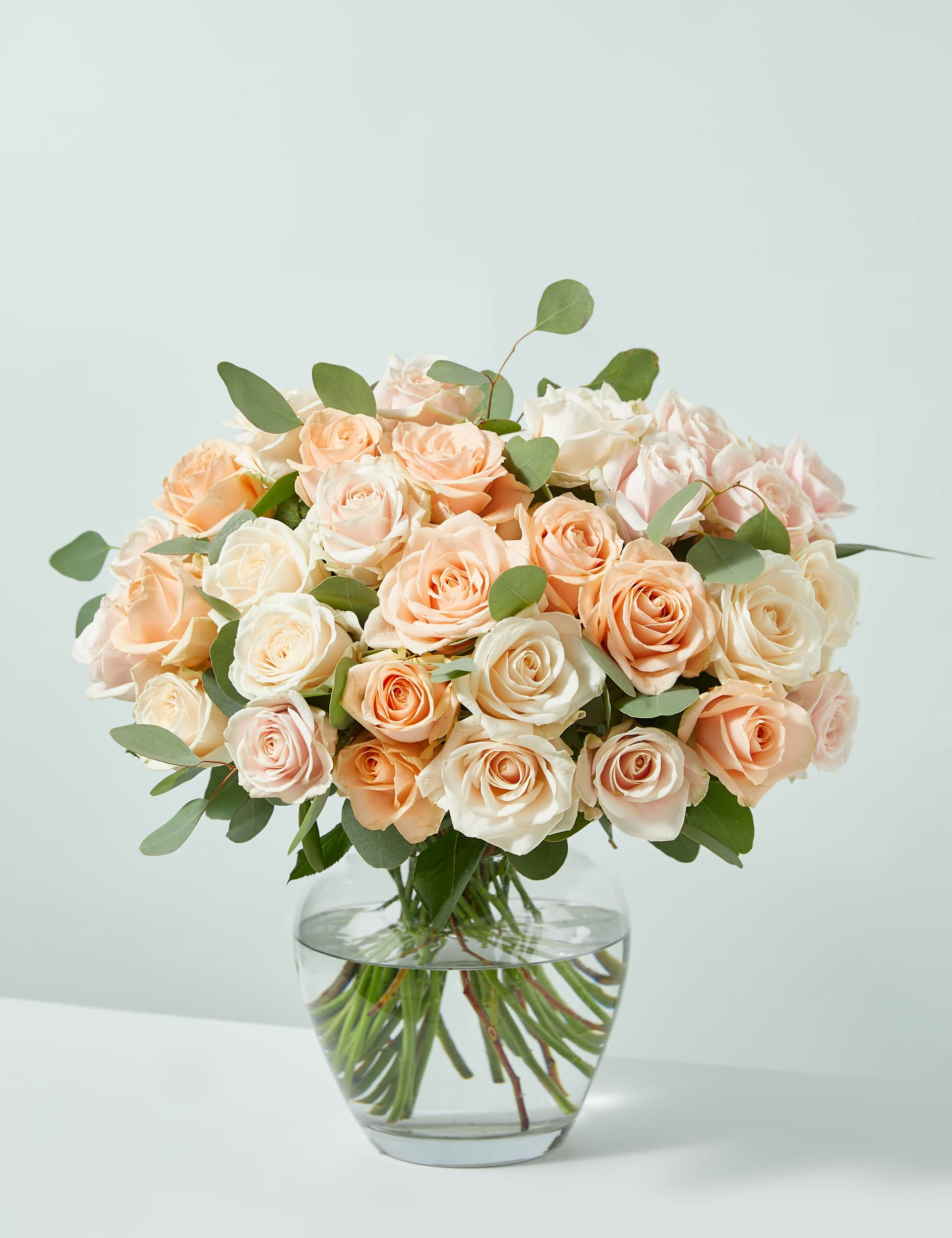 M&S Rose & Eucalyptus Bouquet