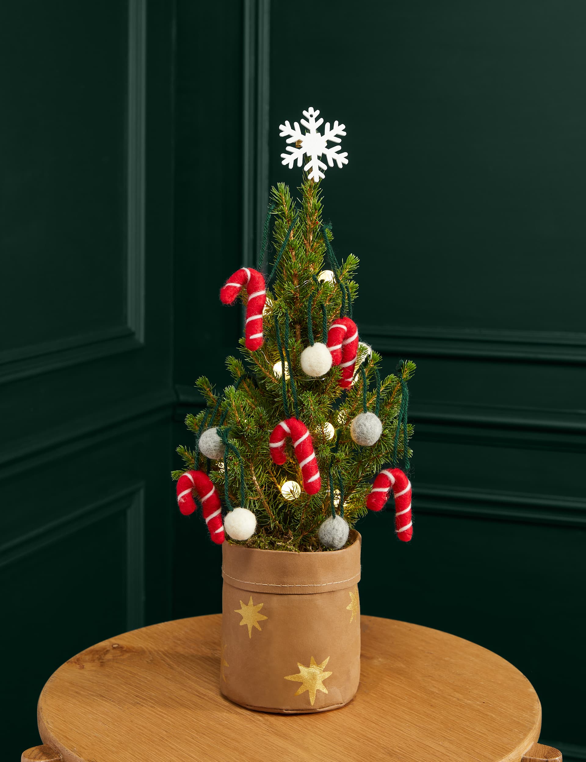 M&S Candy Cane Letterbox Tree image