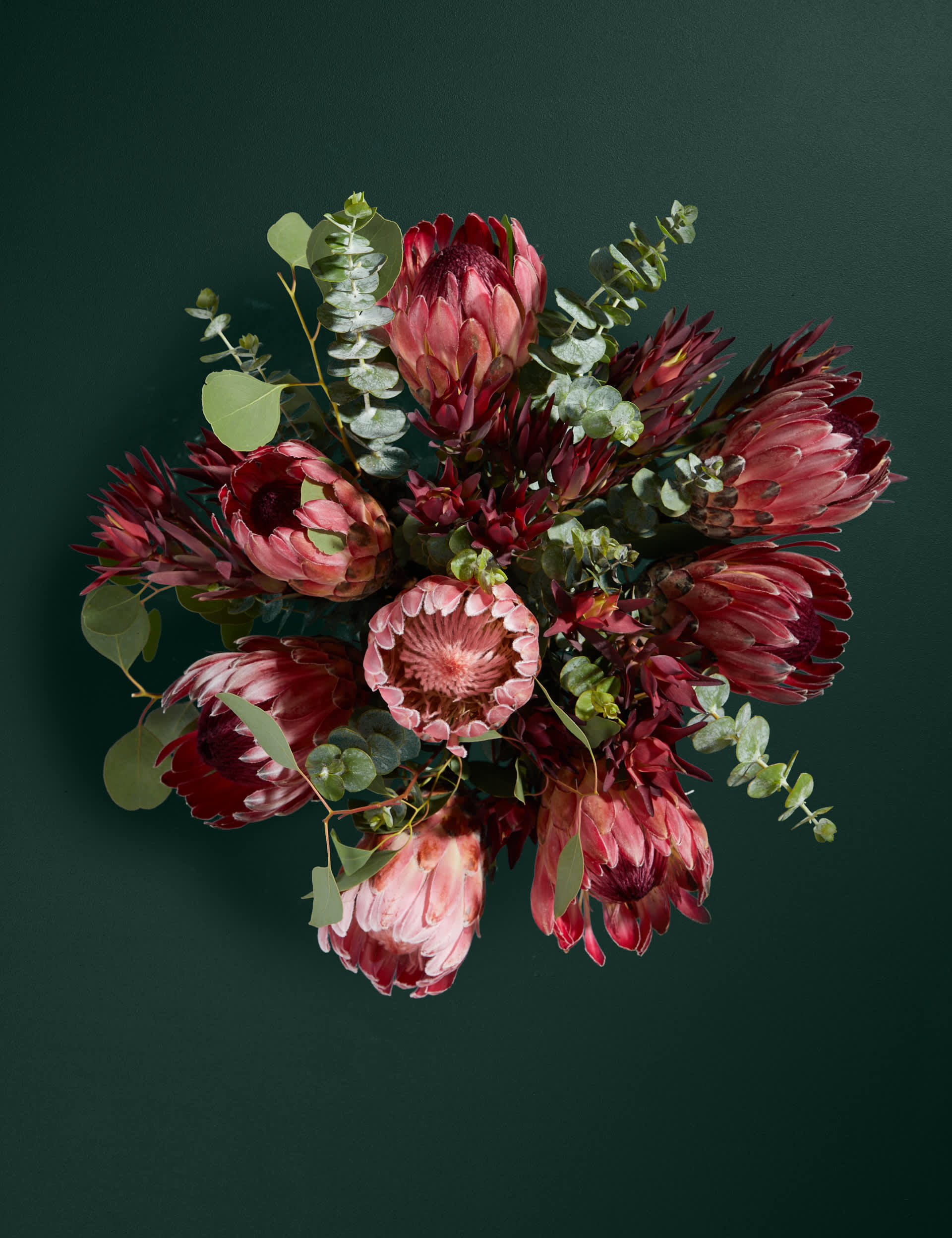 M&S Large Protea Posy Bouquet