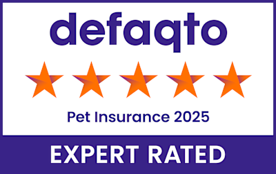 Defaqto Rating