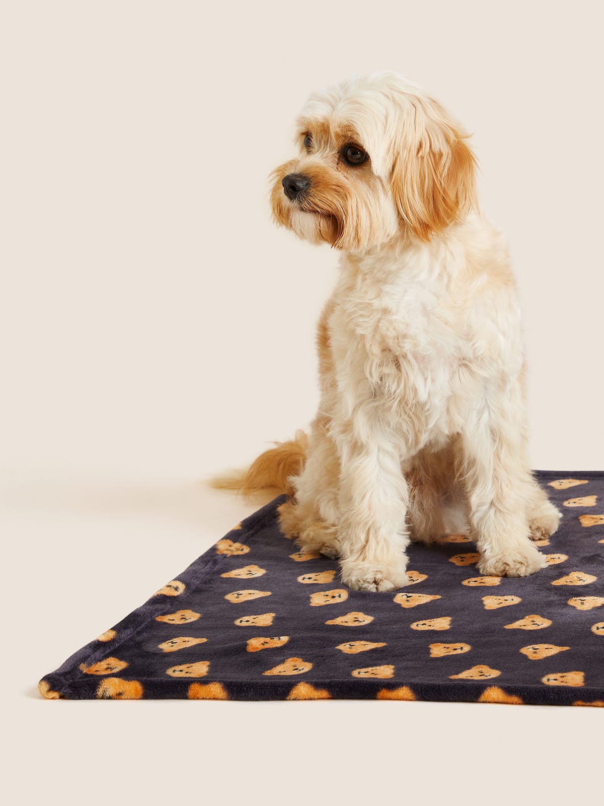Dog sitting on Spencer Bear pet blanket. Shop now