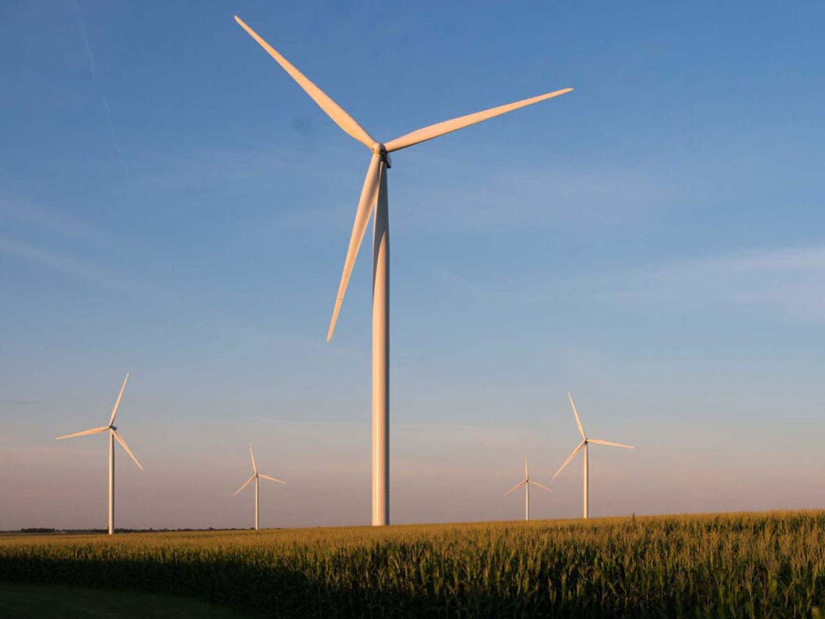Wind turbines in a field