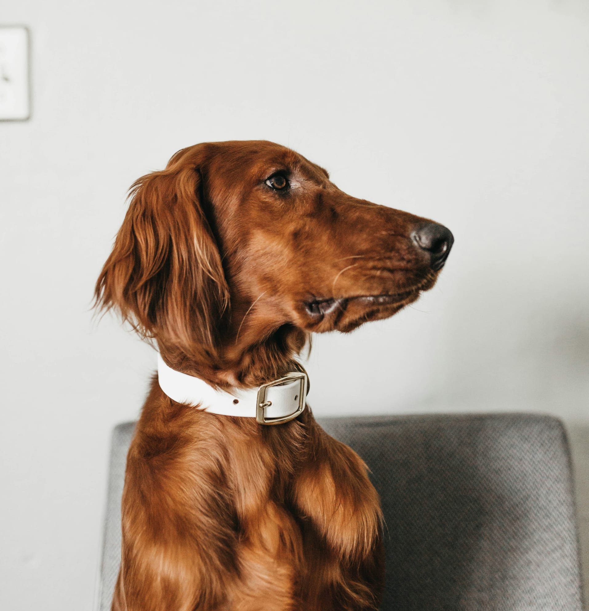 Big ship sailing on the ocean