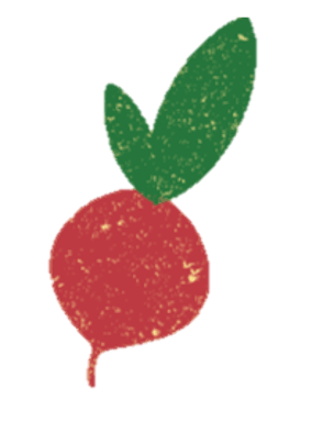 Radish