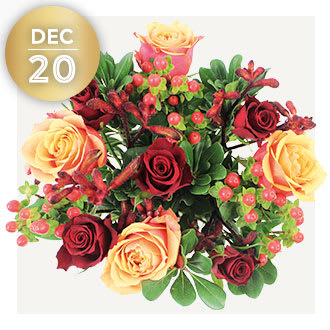 Christmas flowers