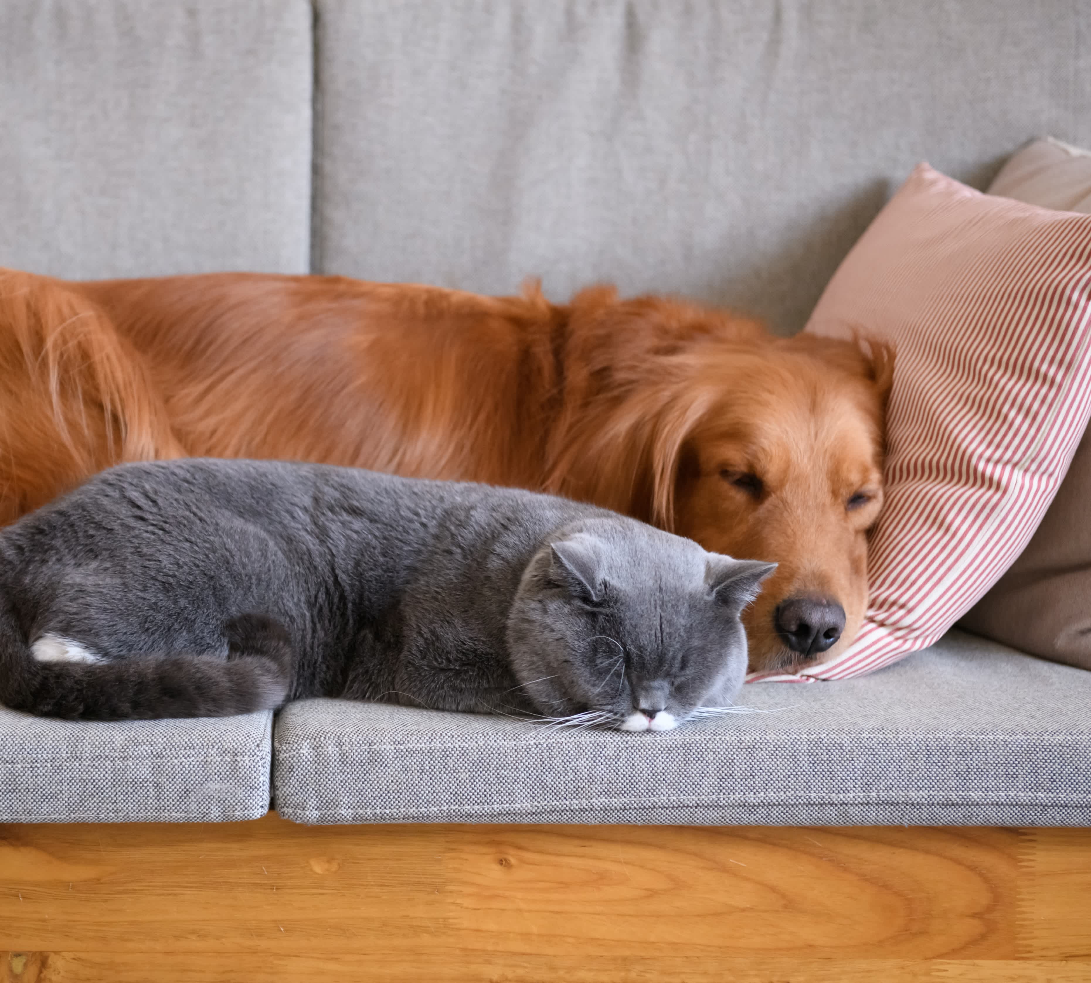 lady relaxing on a small boat in the water