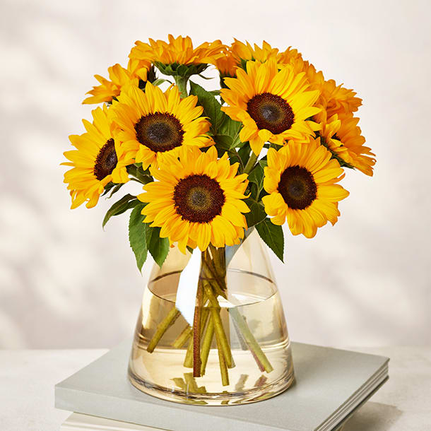 British sunflowers