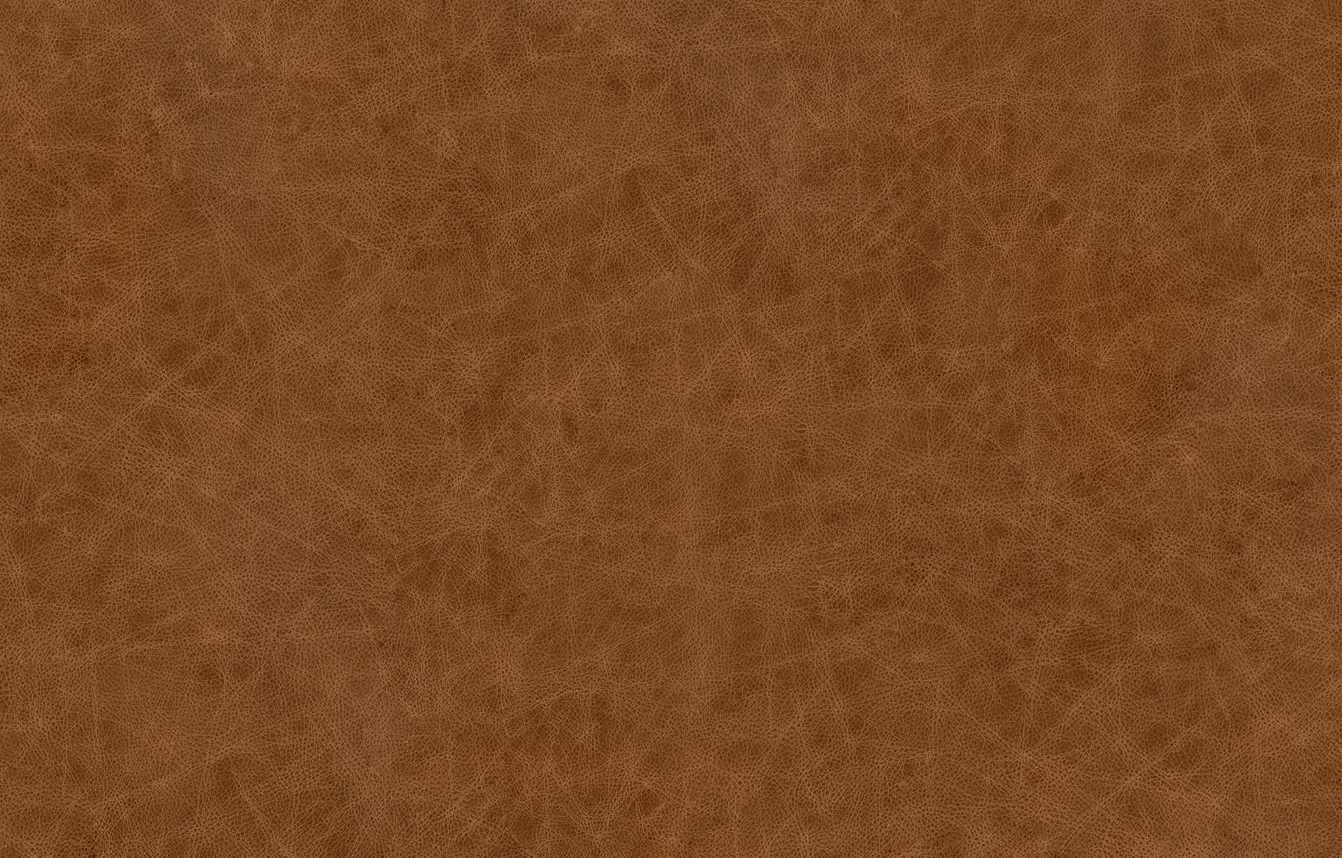 Antique Leather Image 1 of 1