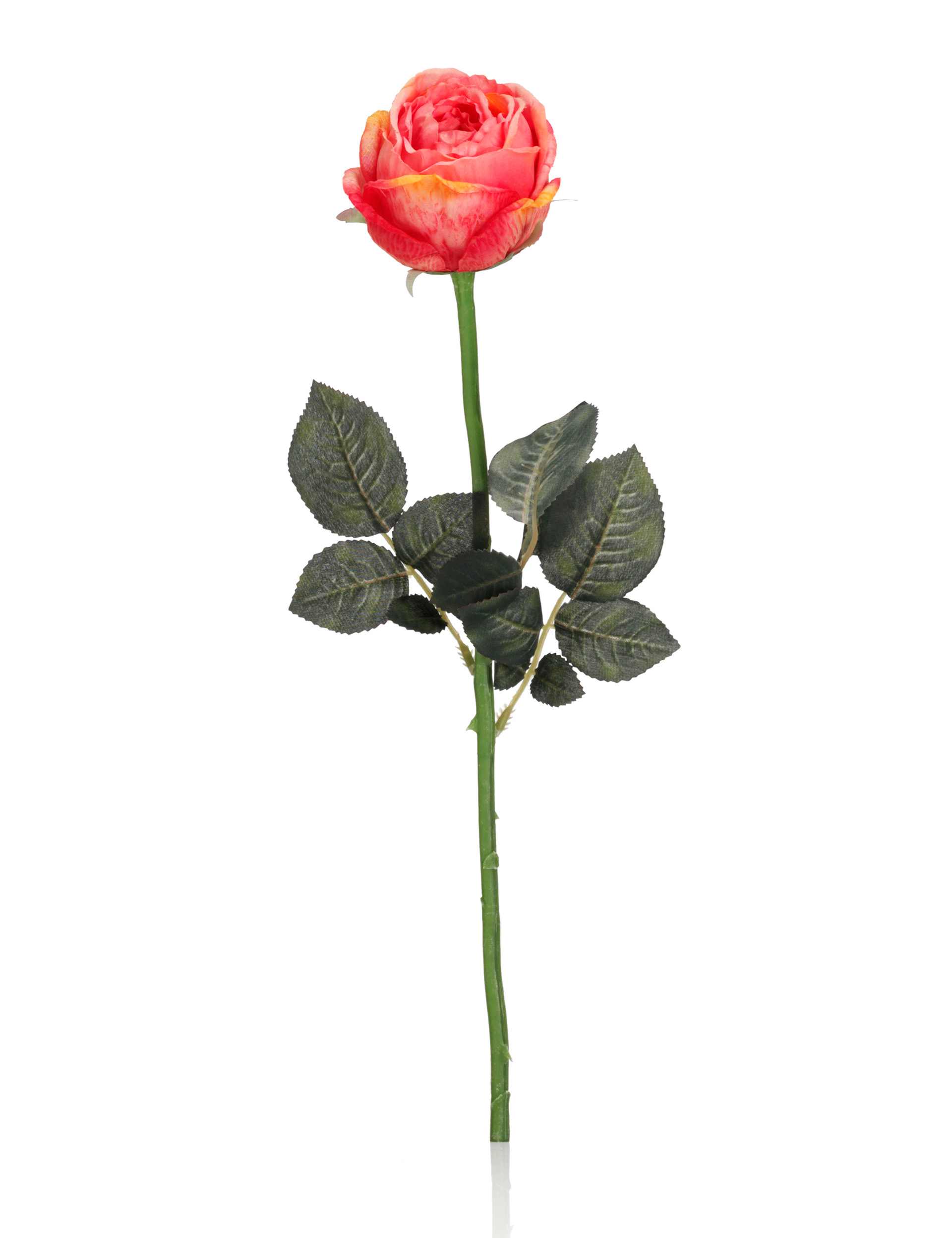 Artificial English Rose | M&S