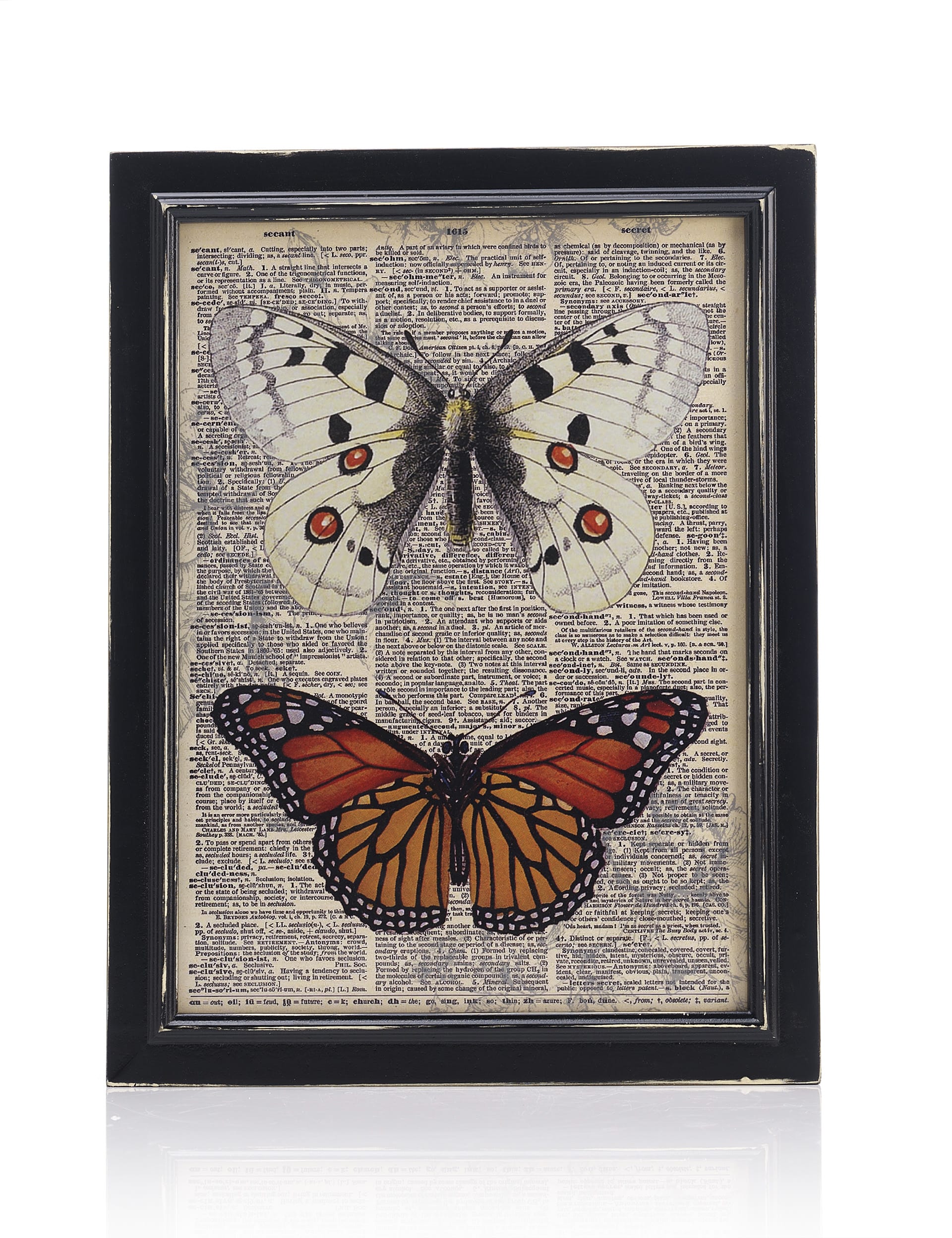 Double Botanical Butterfly Frame Image 1 of 1