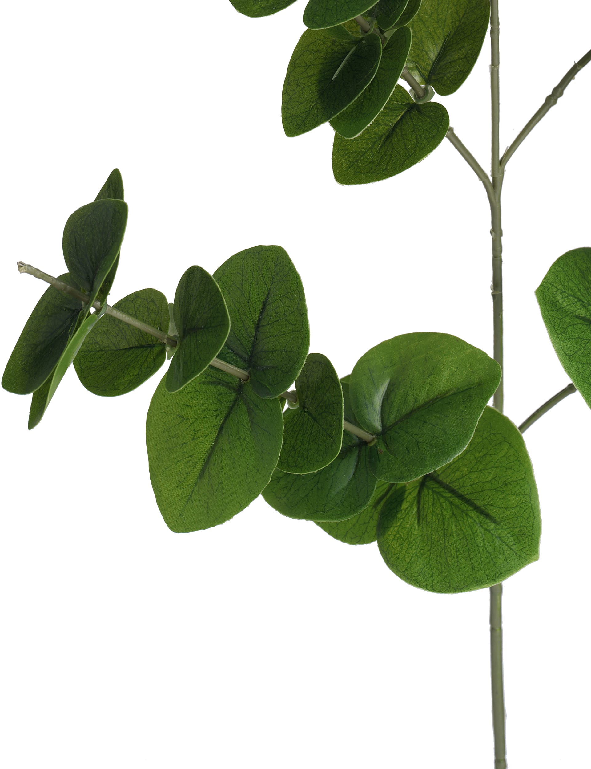 Artificial Eucalyptus Spray Image 1 of 2