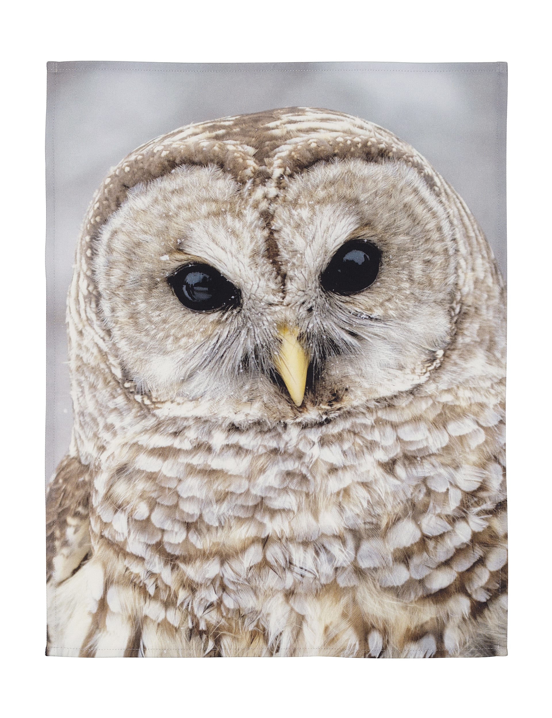 Photographic Tawny Owl Print Tea Towel Image 1 of 1