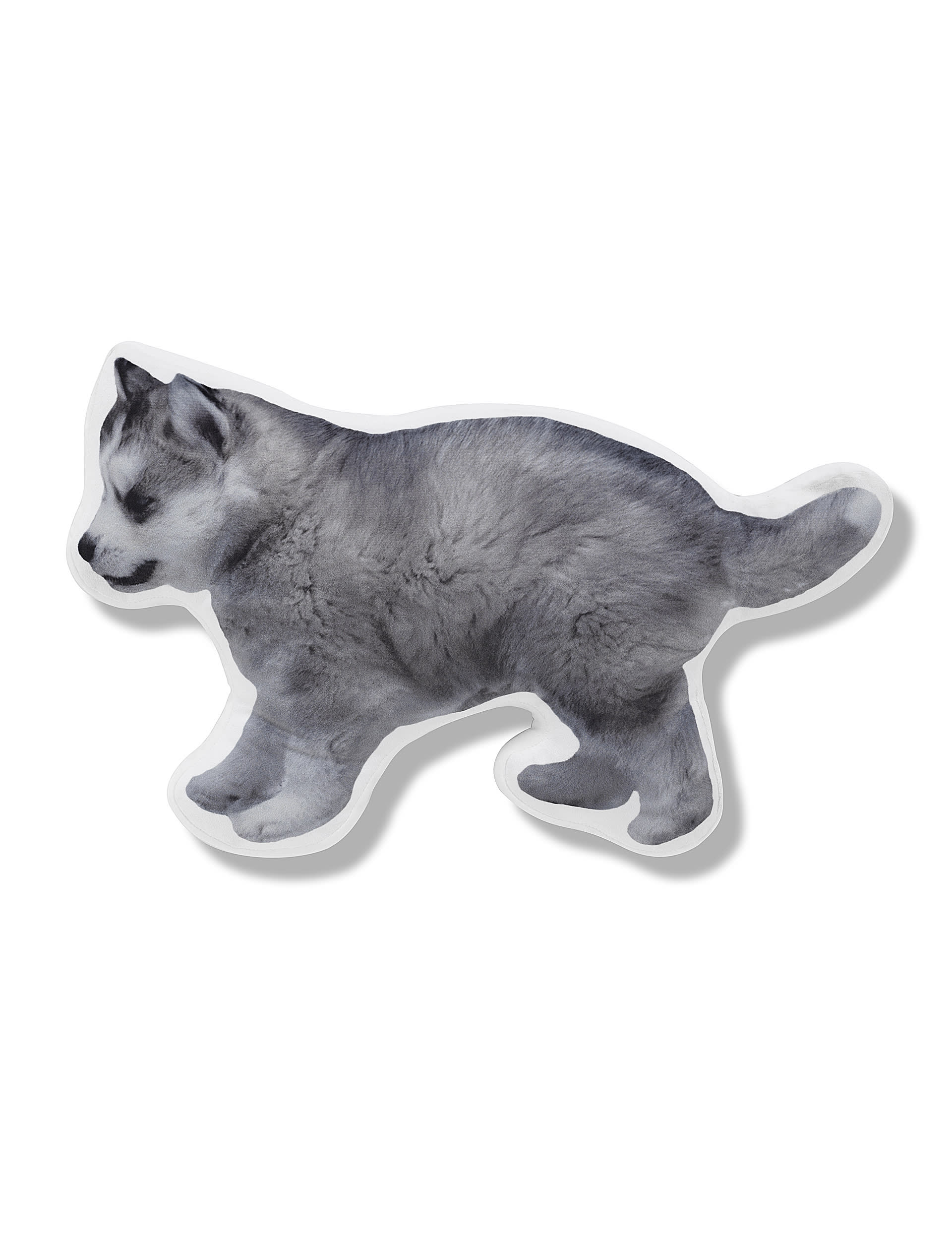 Husky Pup Cushion Image 1 of 2