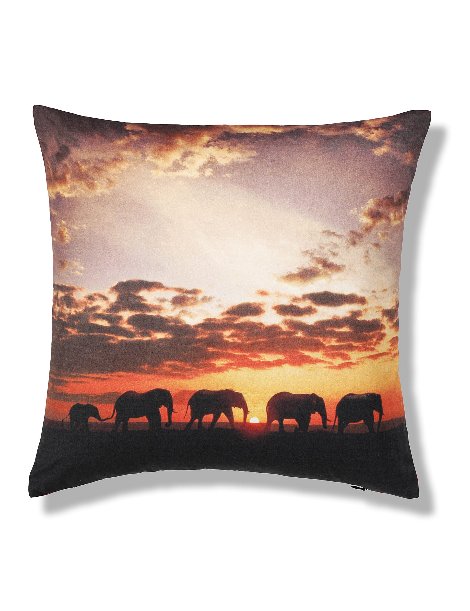 Elephant Print Cushion Image 1 of 2