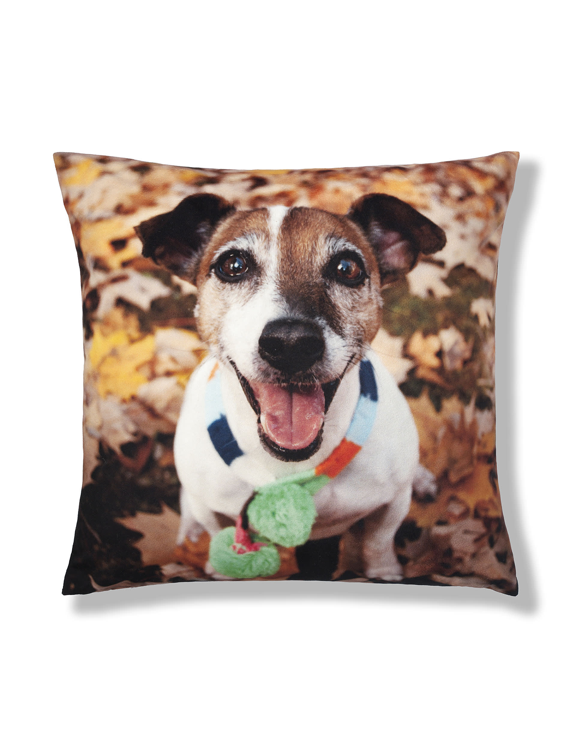 Freddie Jack Russell Cushion Image 1 of 1