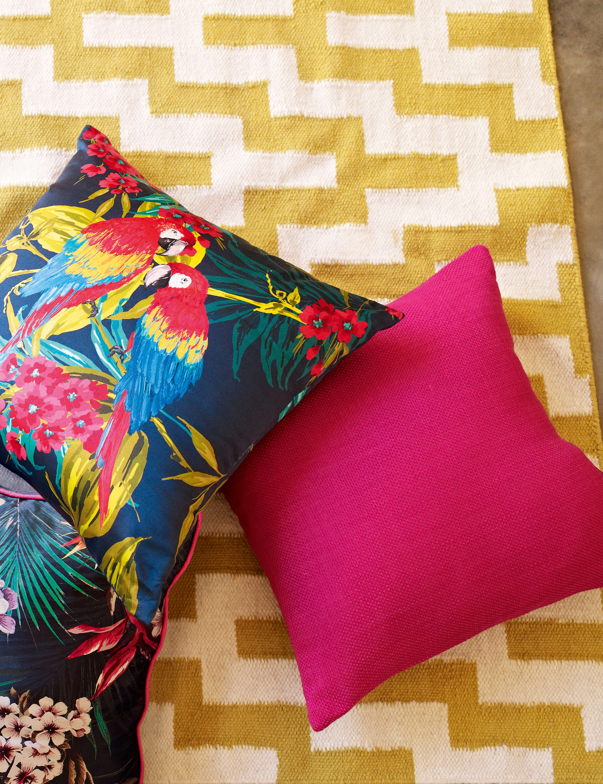 Rio Parrot Cushion Image 2 of 3