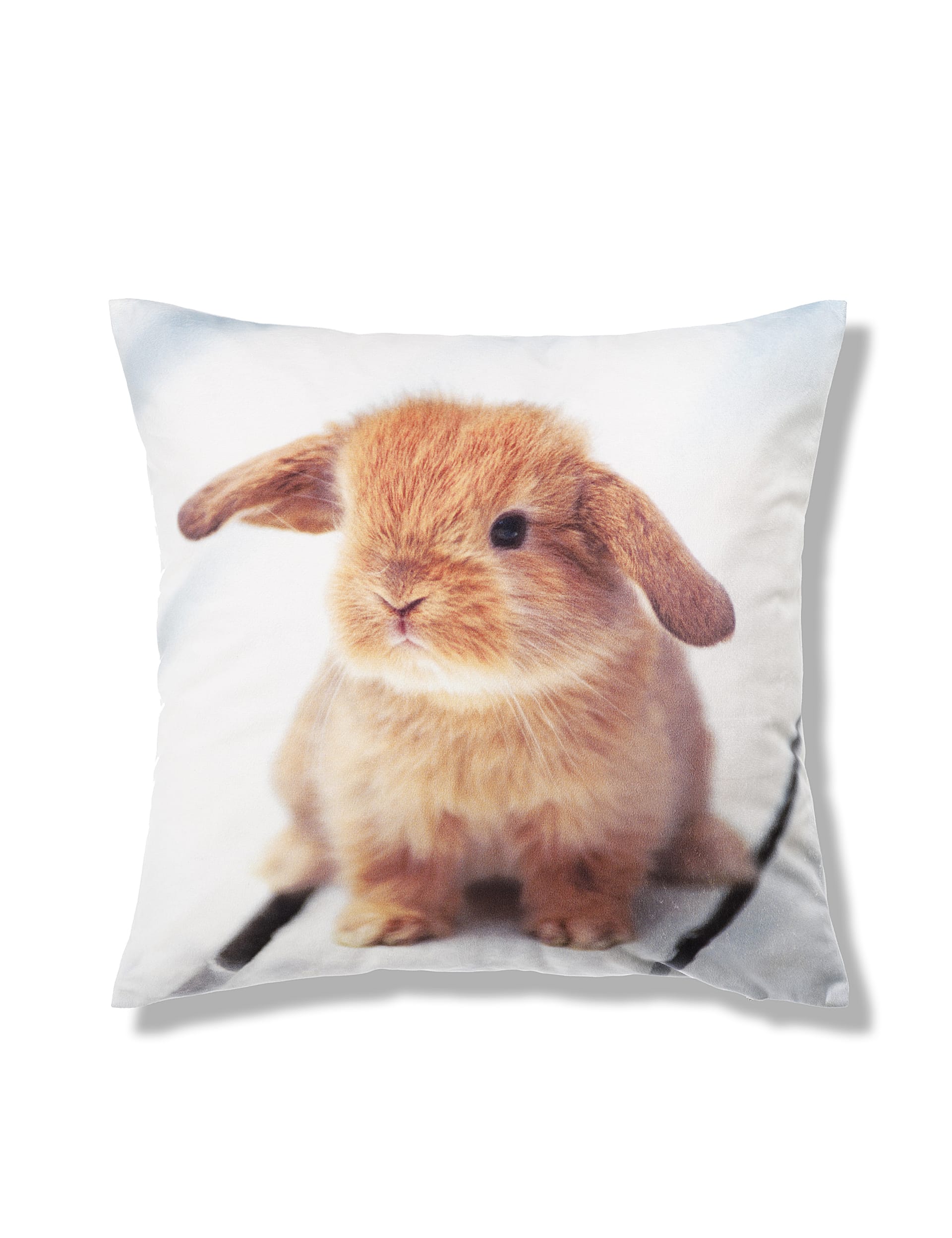 Poppy Rabbit Print Cushion Image 1 of 1