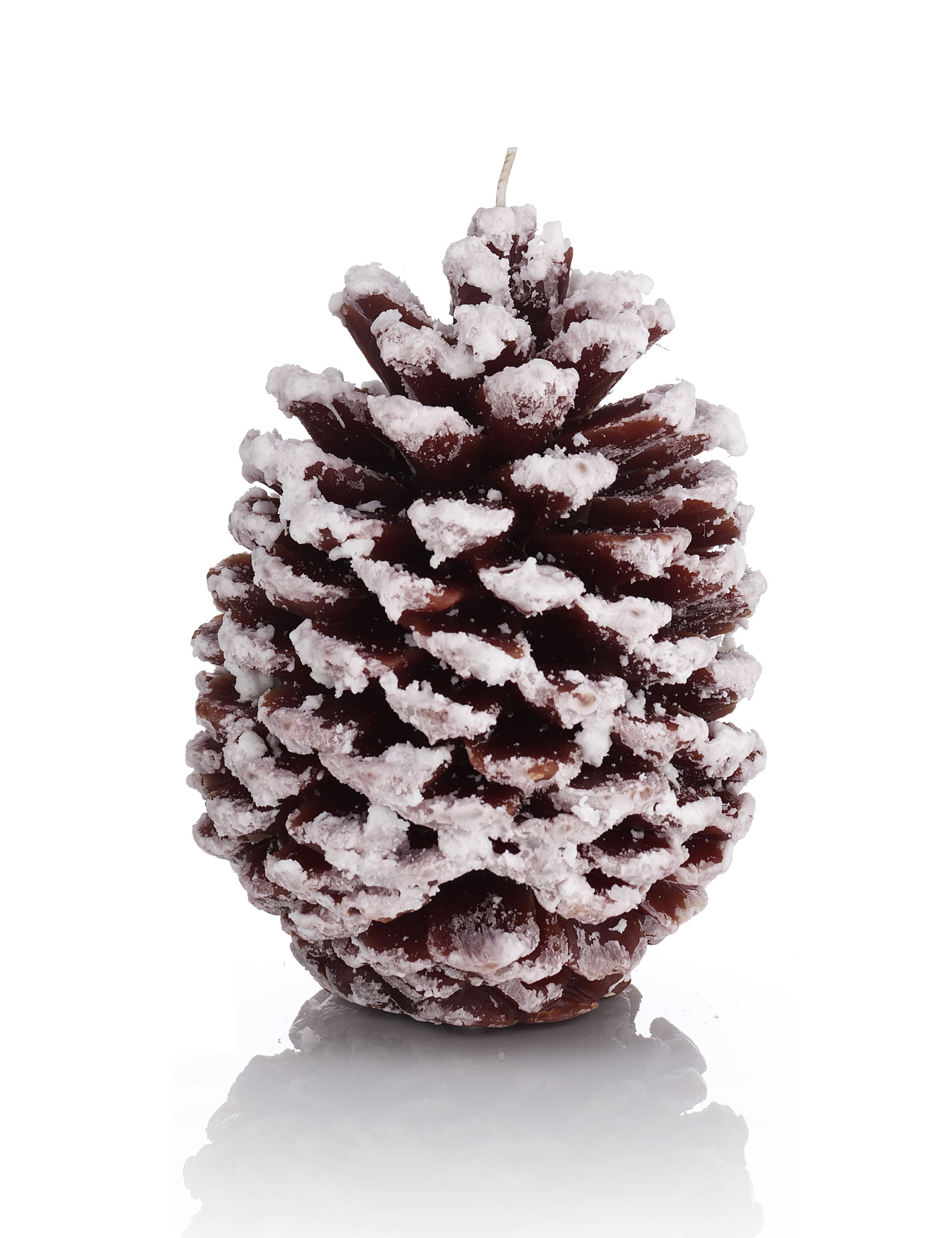 Mandarin, Cinnamon & Cloves Pine Cone Inclusion Candle Image 1 of 2