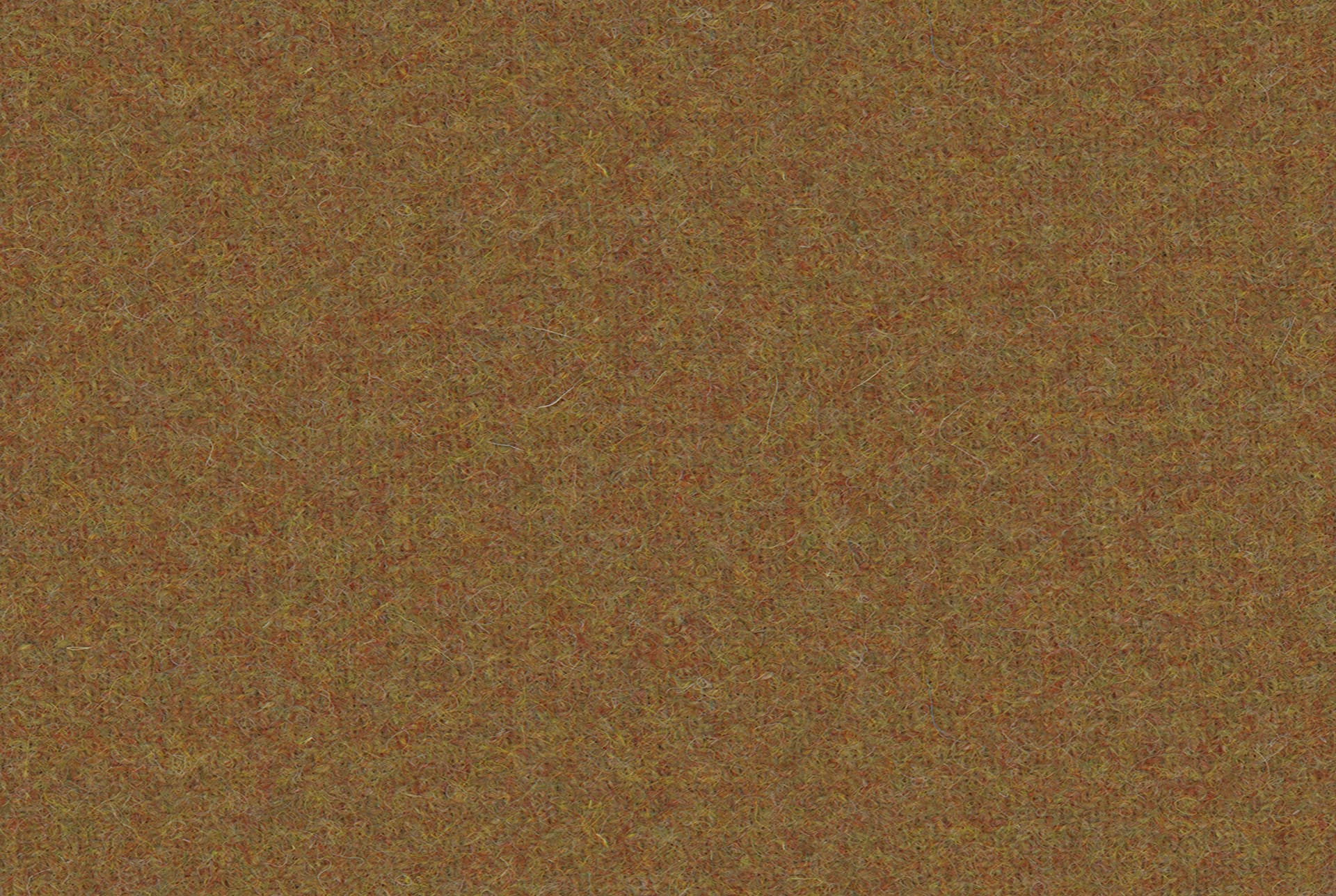 Wool Image 1 of 1