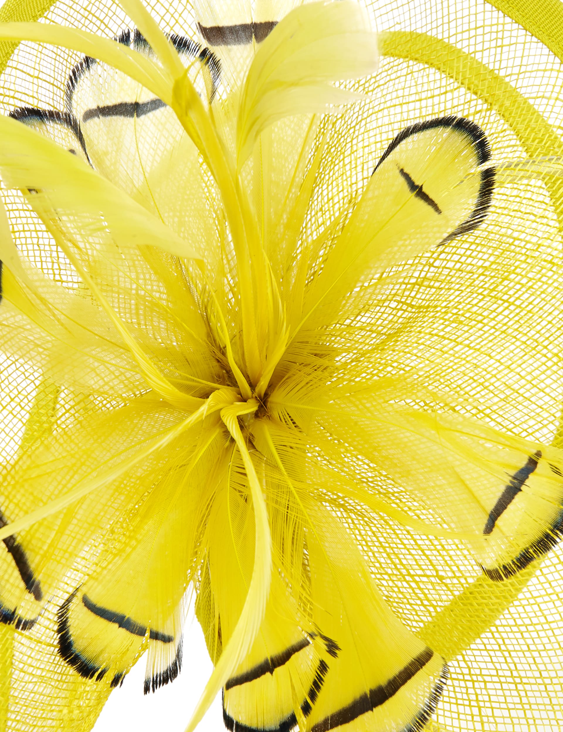 Floral Twisted Feather Mesh Fascinator Image 2 of 4