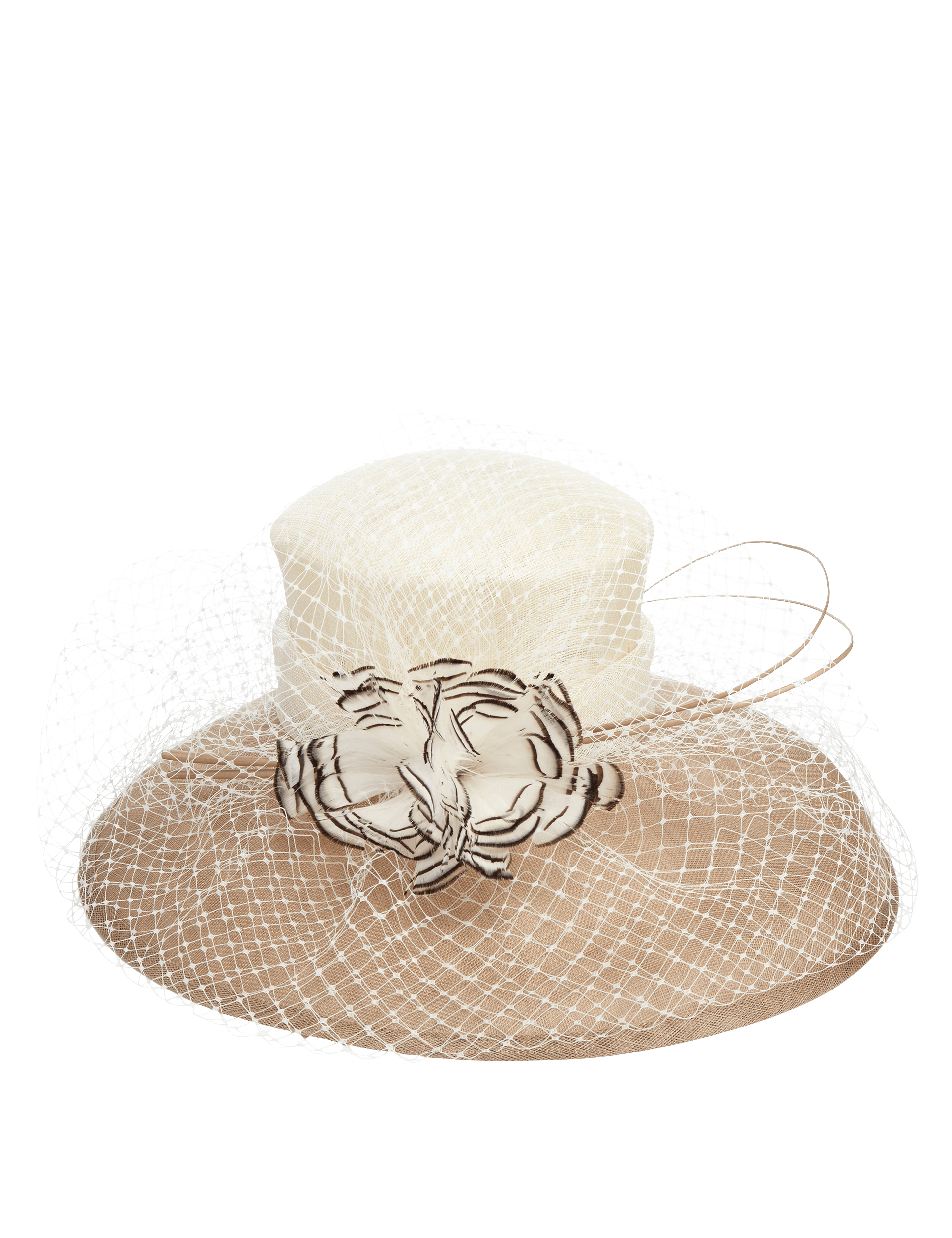 Floral Corsage Feather & Net Trilby Hat Image 2 of 4