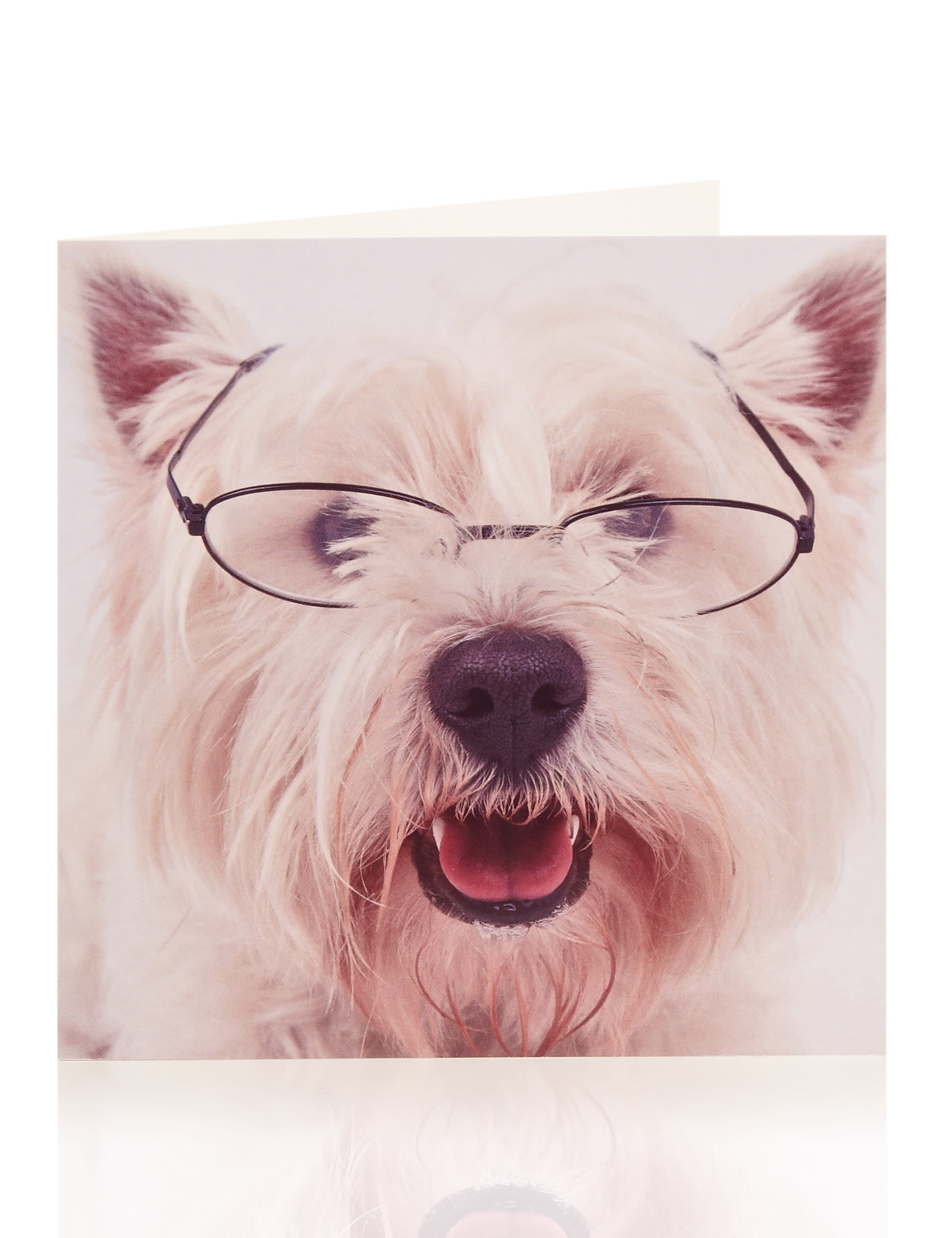 Westie Dog In Glasses Blank Card Image 1 of 1