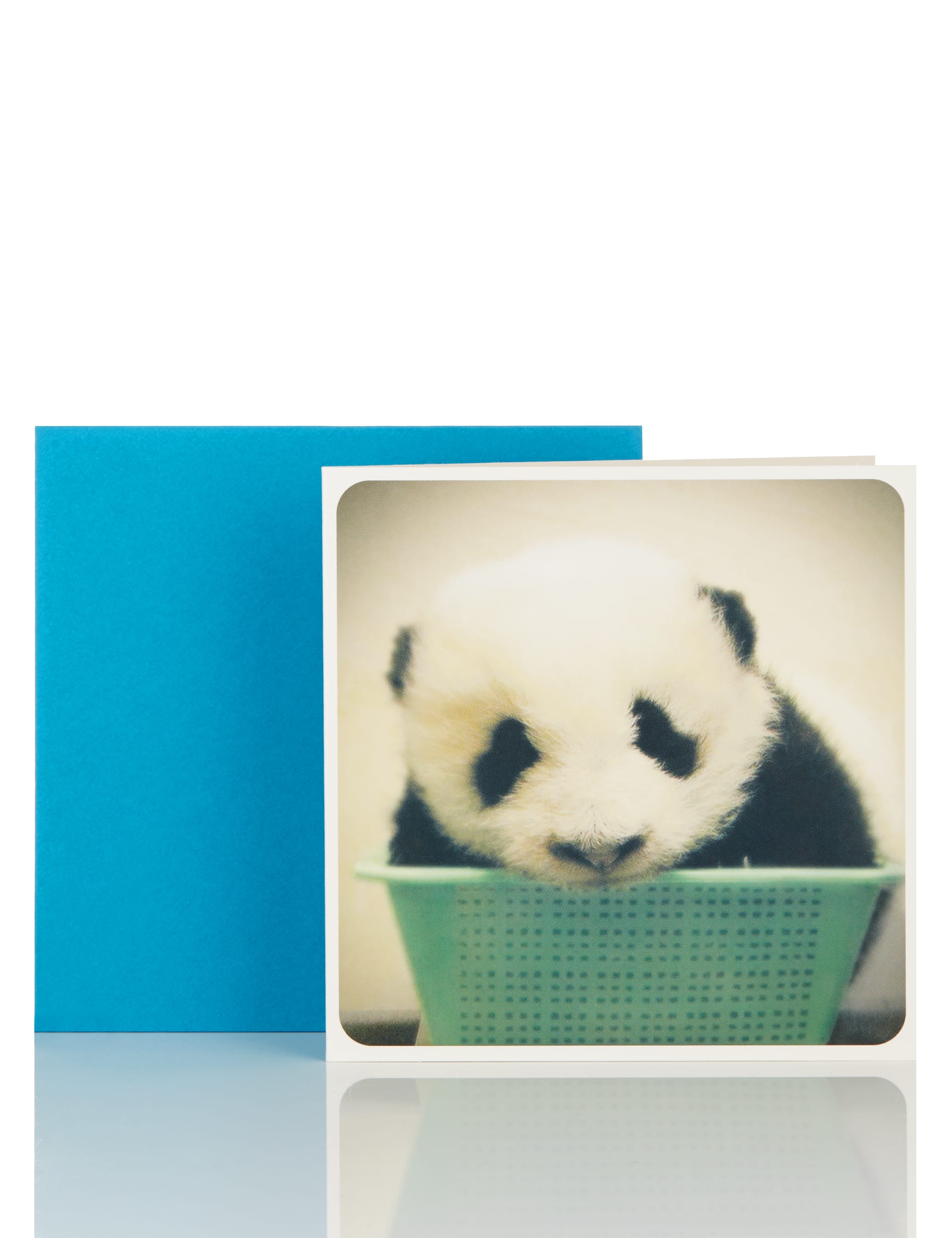 Little Laughs Mini Panda Blank Card Image 1 of 2