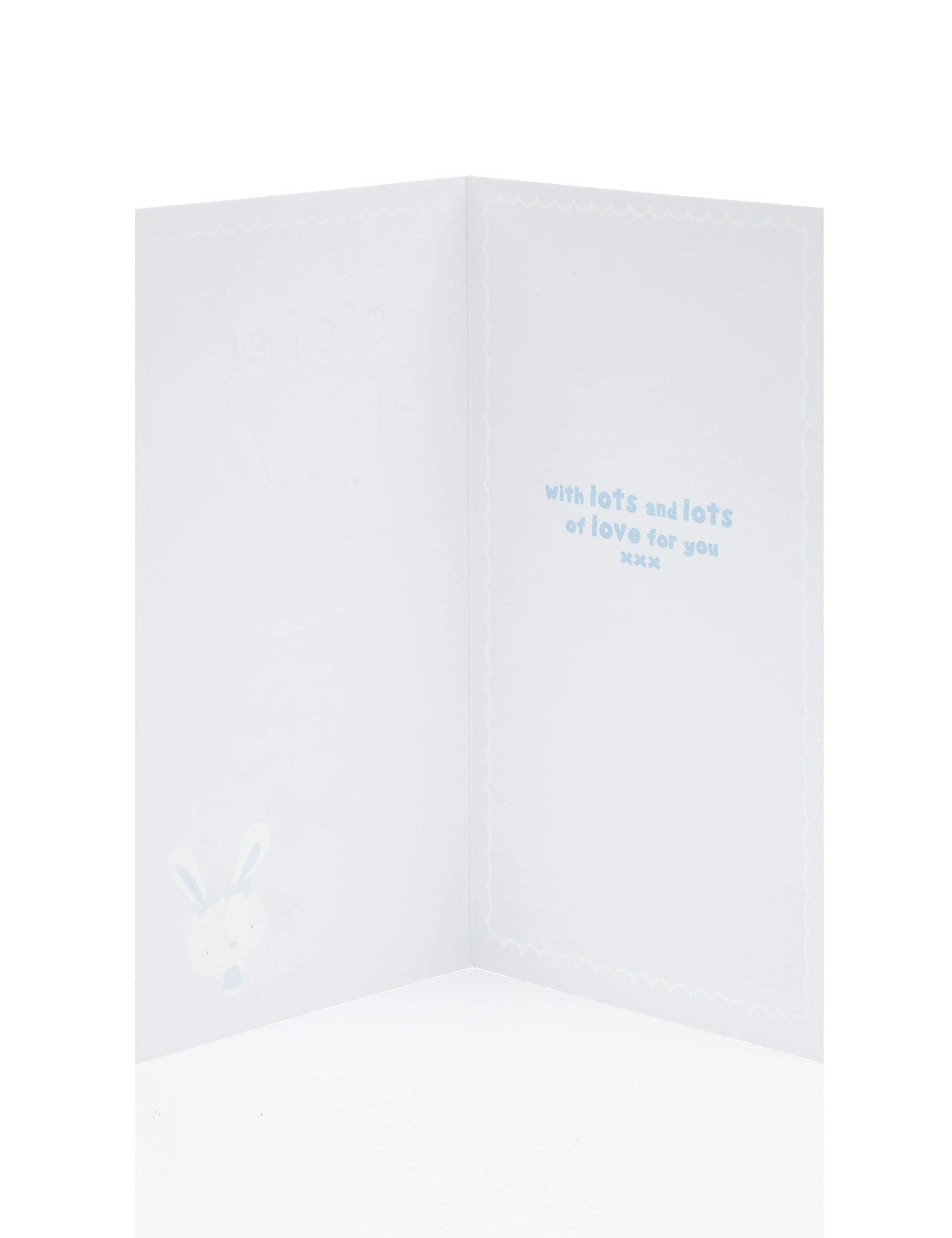 Special Sister Rabbit Birthday Greetings Card Image 1 of 2