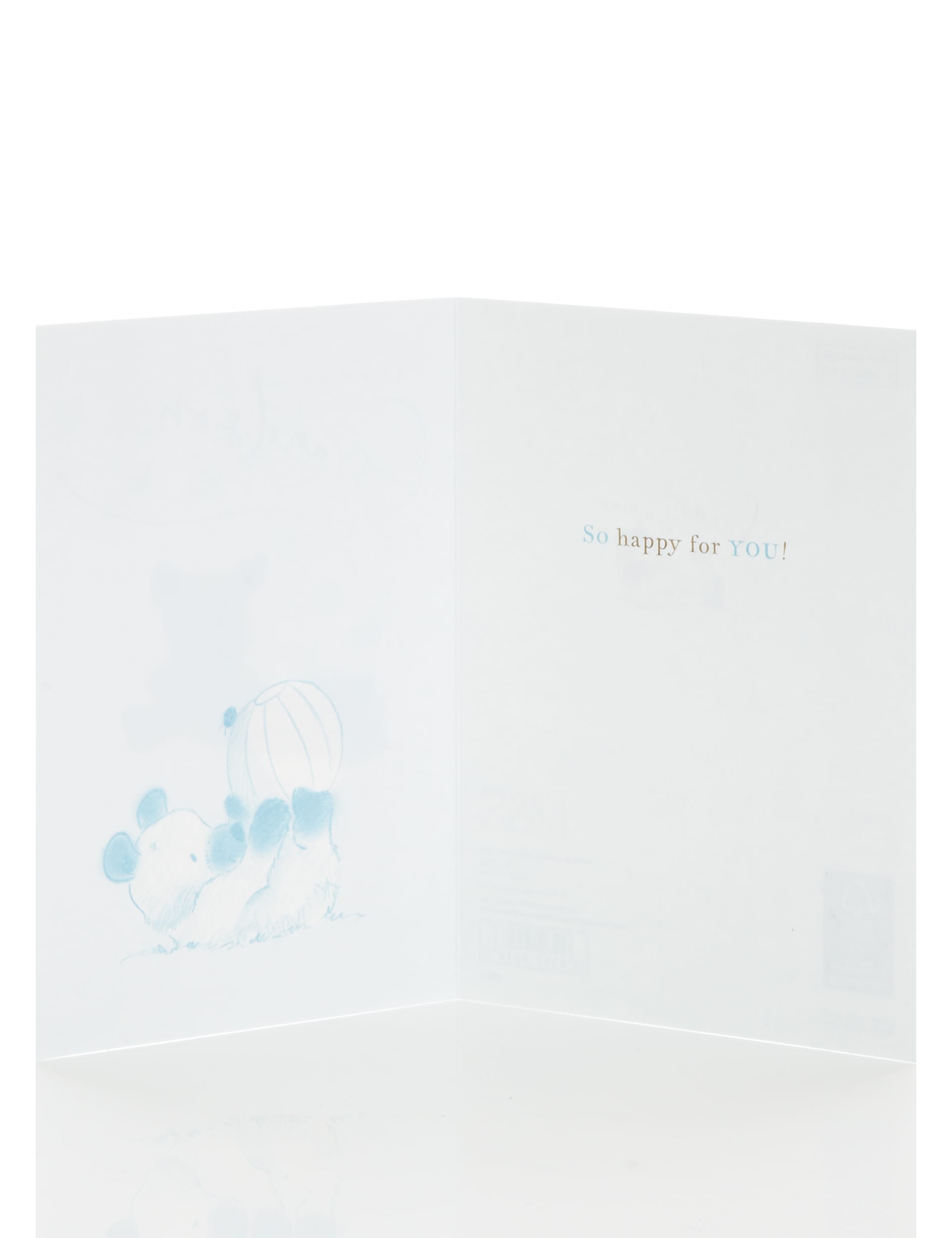 Bear and Bird Birth of Grandson Card Image 1 of 2