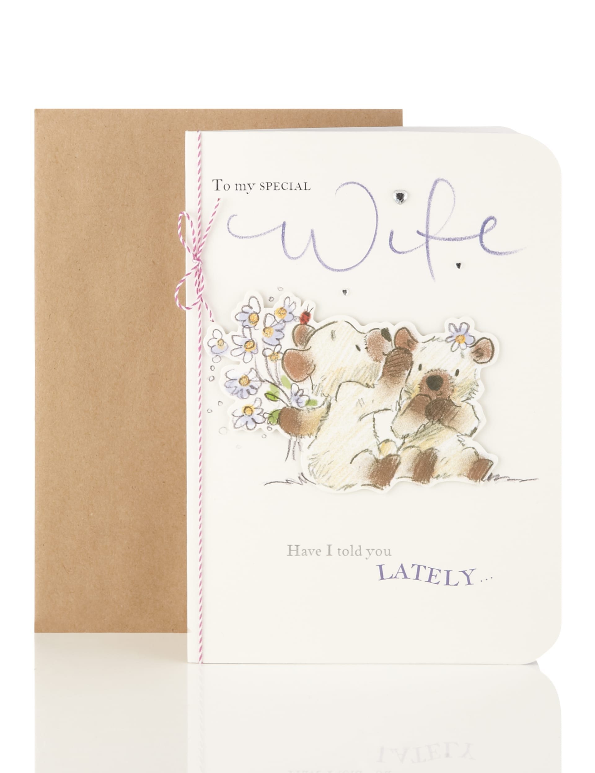 Cute Bear's Anniversary Card for a Special Wife | M&S