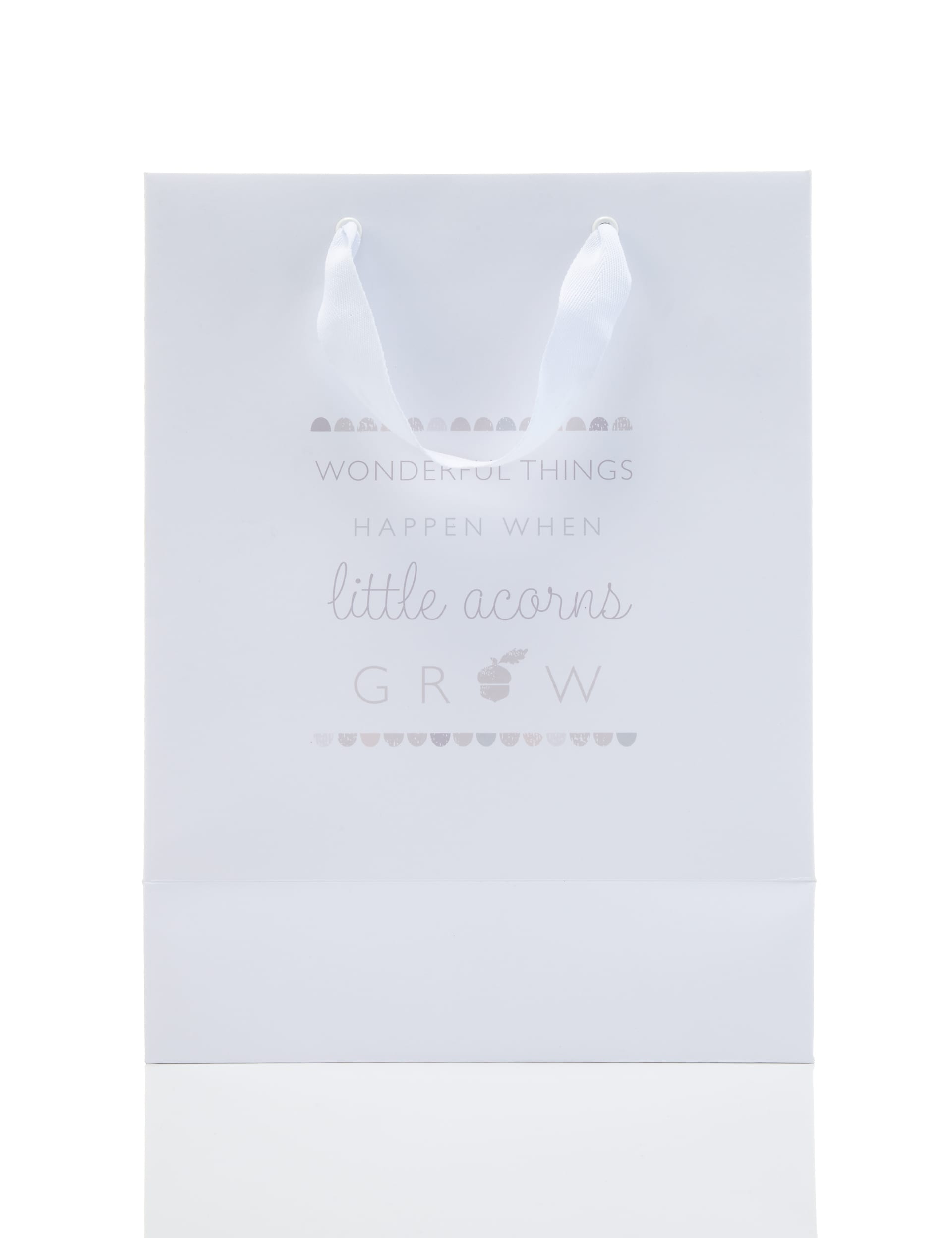 Large New Baby Little Acorn Gift Bag Image 1 of 2